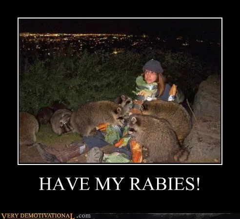 wtf_raccoon_animals_-_6769097728.webp