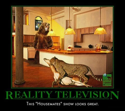 wtf_reality_tv_funny_animals_-_7879766784.webp