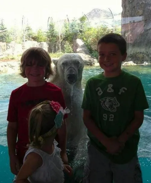 zoo_animals_-_7348503808.webp