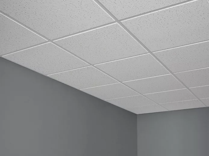 Acoustical Ceiling