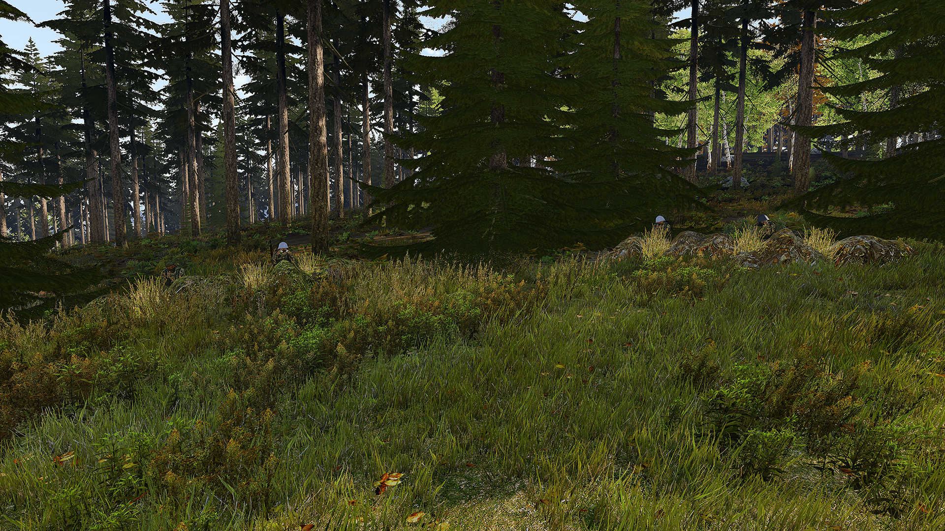 Summer Chernarus