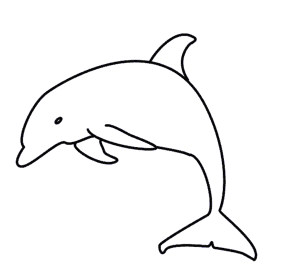 Dolphin