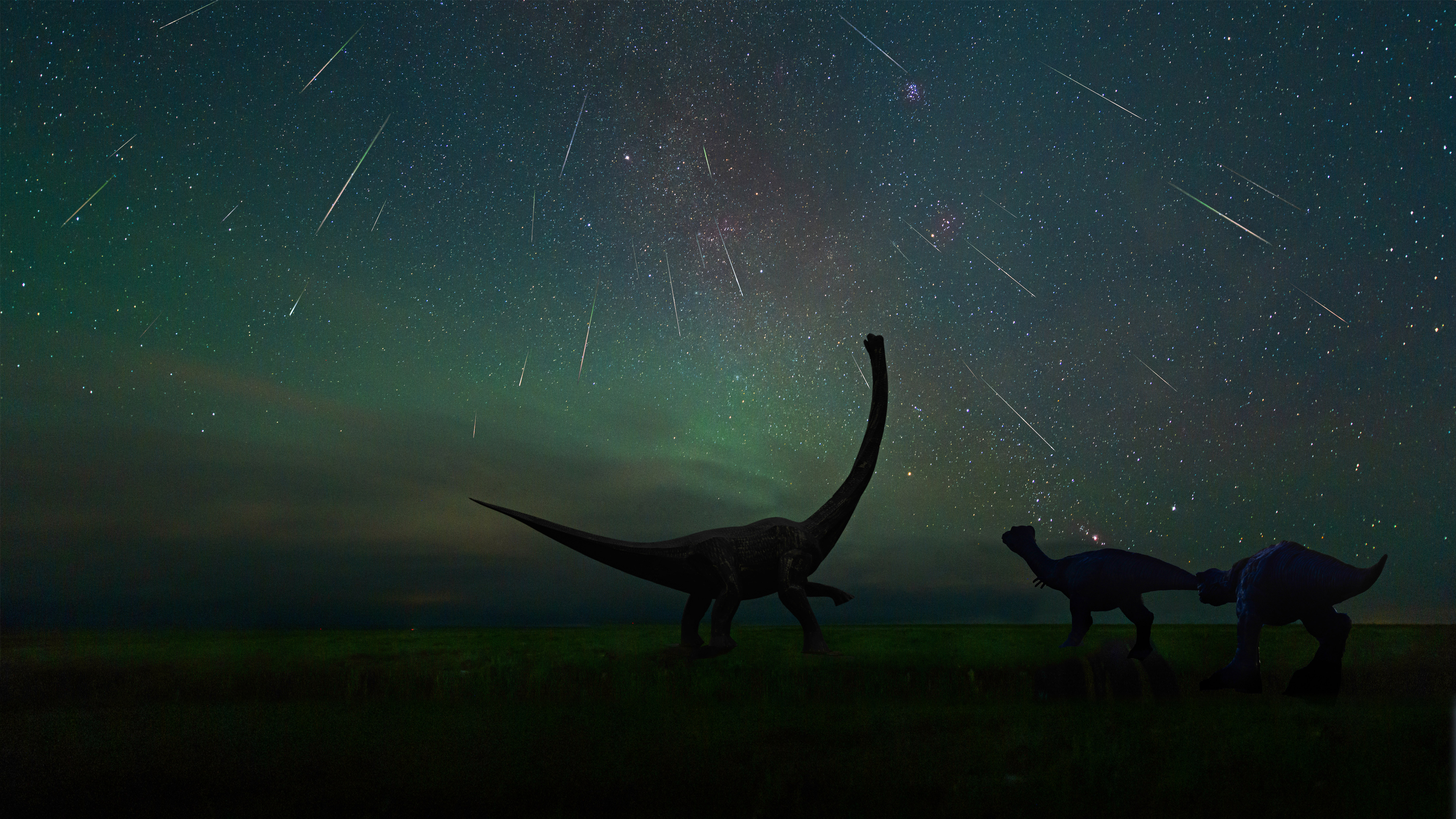 拍摄于二连浩特恐龙博物馆中的英仙座流星雨，**内蒙古 (© bjdlzx/Getty Images)