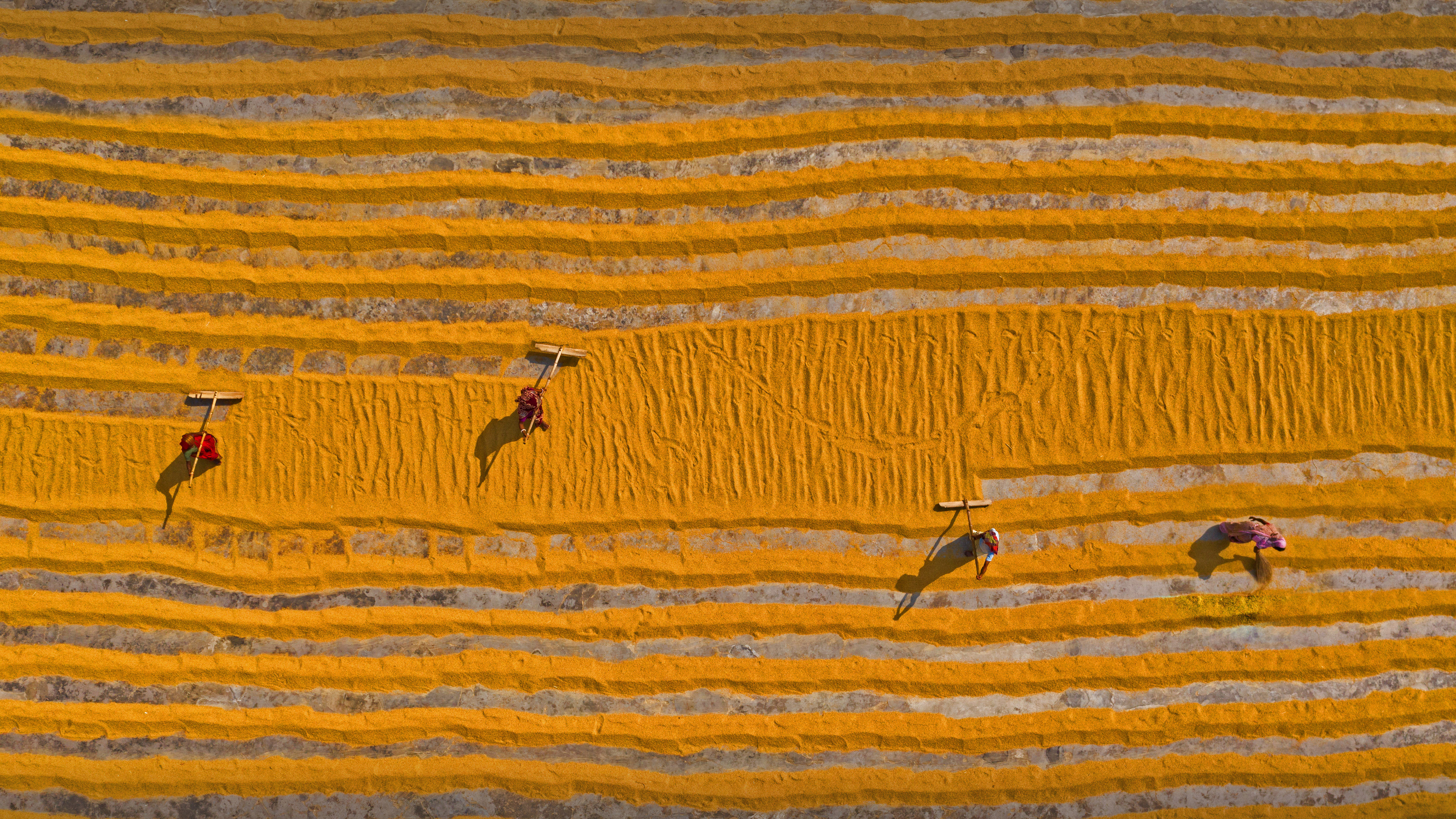 正在晾晒的大米，孟加拉国达卡 (© Amazing Aerial Agency/Offset by Shutterstock)