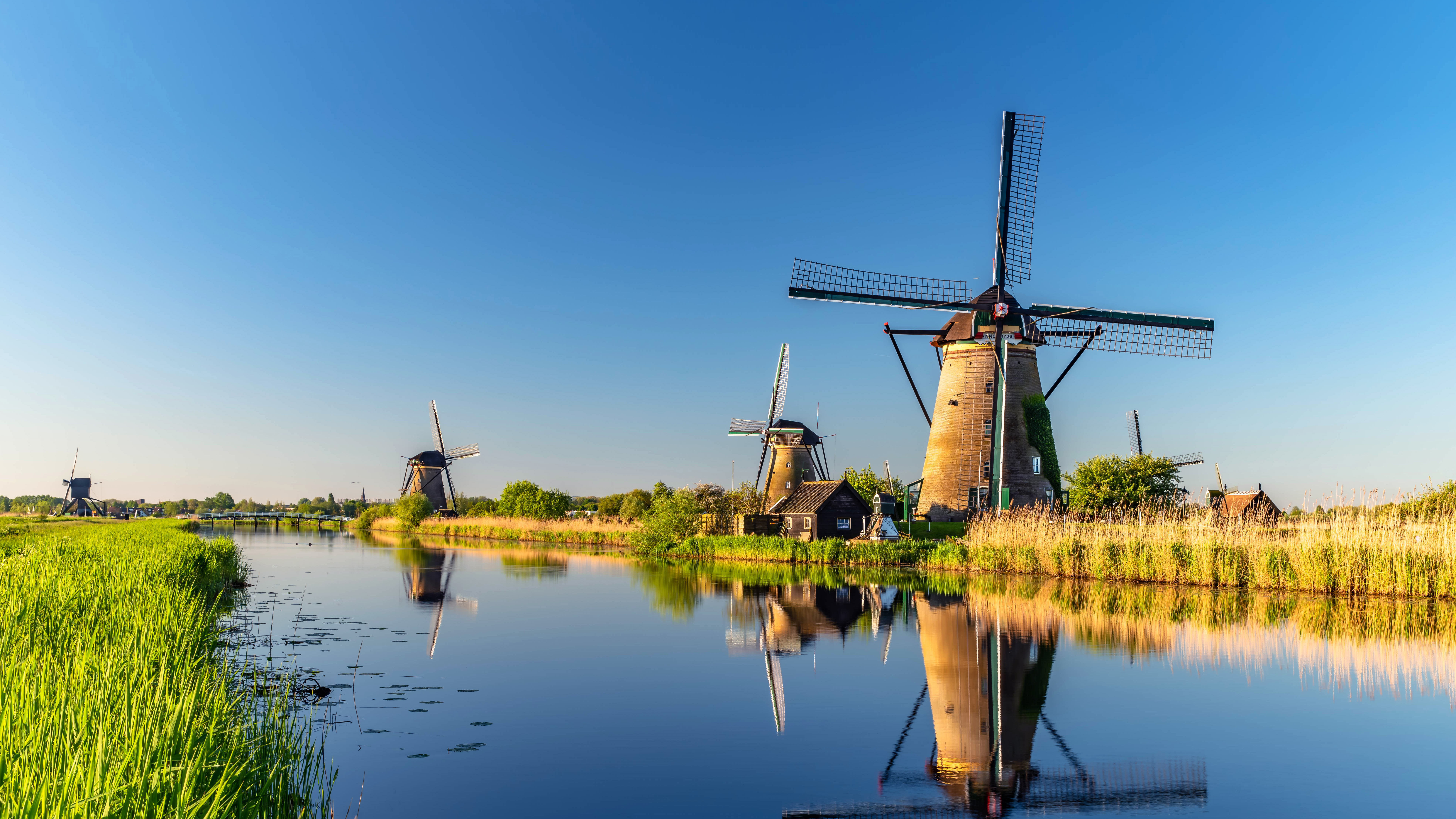 金德代克风车群，荷兰 (© Achim Thomae/Getty Images)