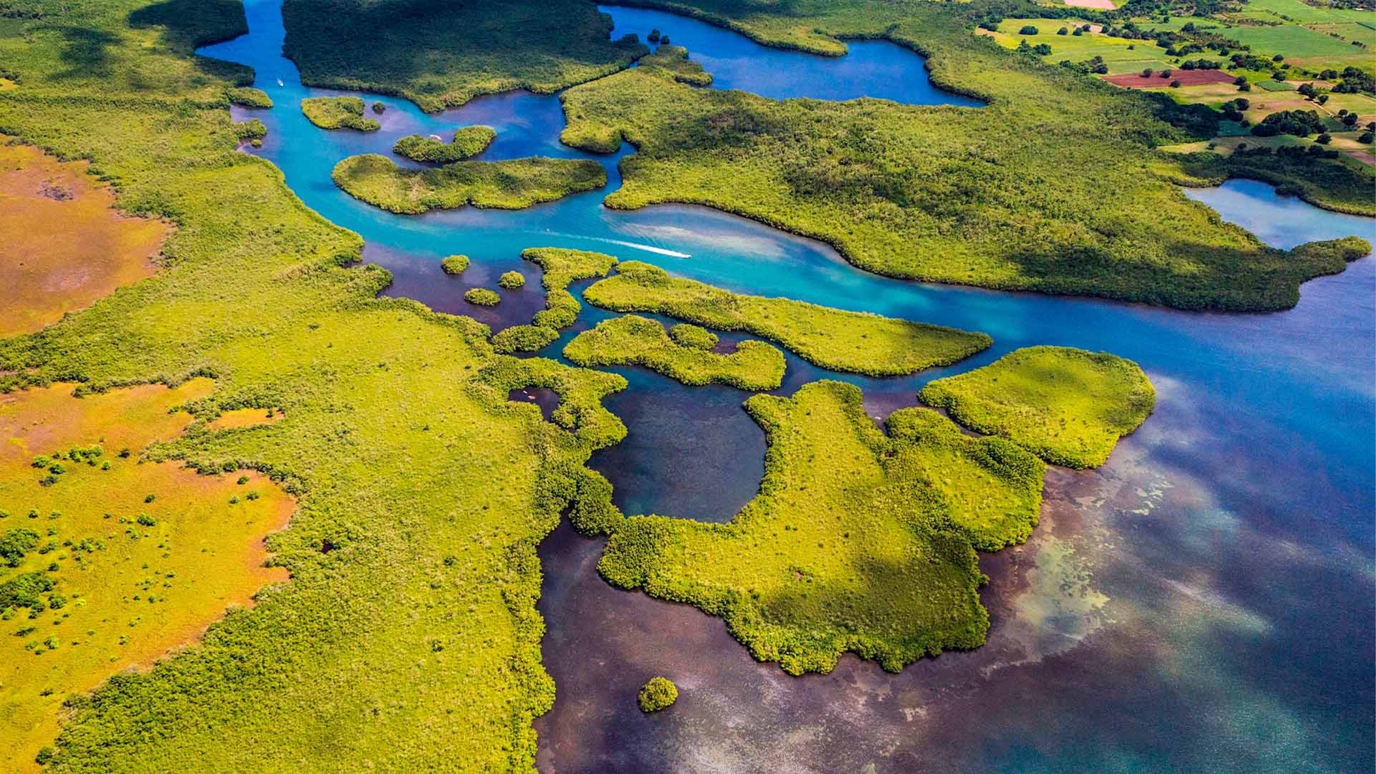 萨克马兰大湾，瓜德罗普岛国家公园，小安的列斯群岛 (© Hemis/Alamy)