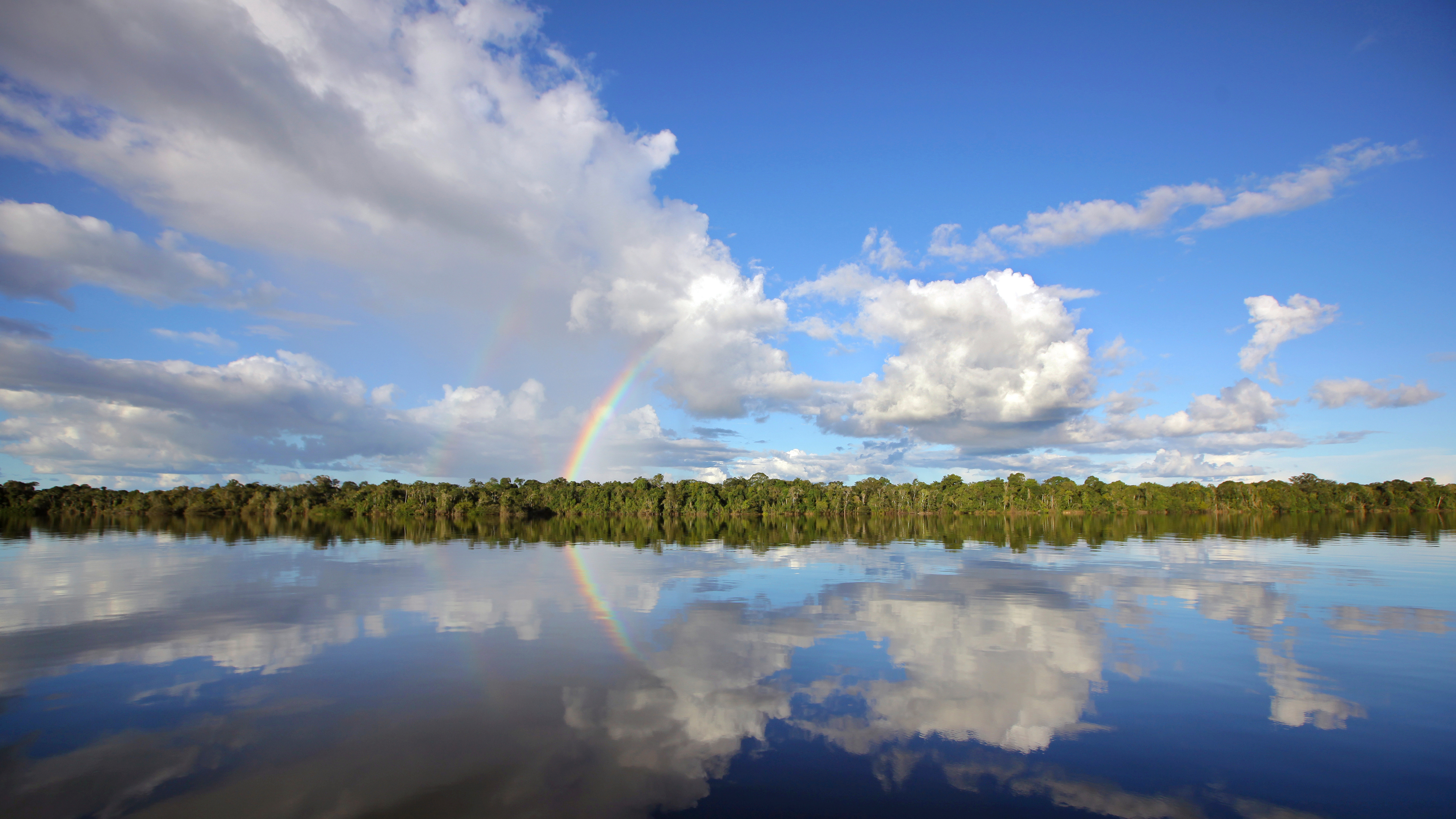 内格罗河，亚马逊河流域，巴西 (© Timothy Allen/Getty Images)