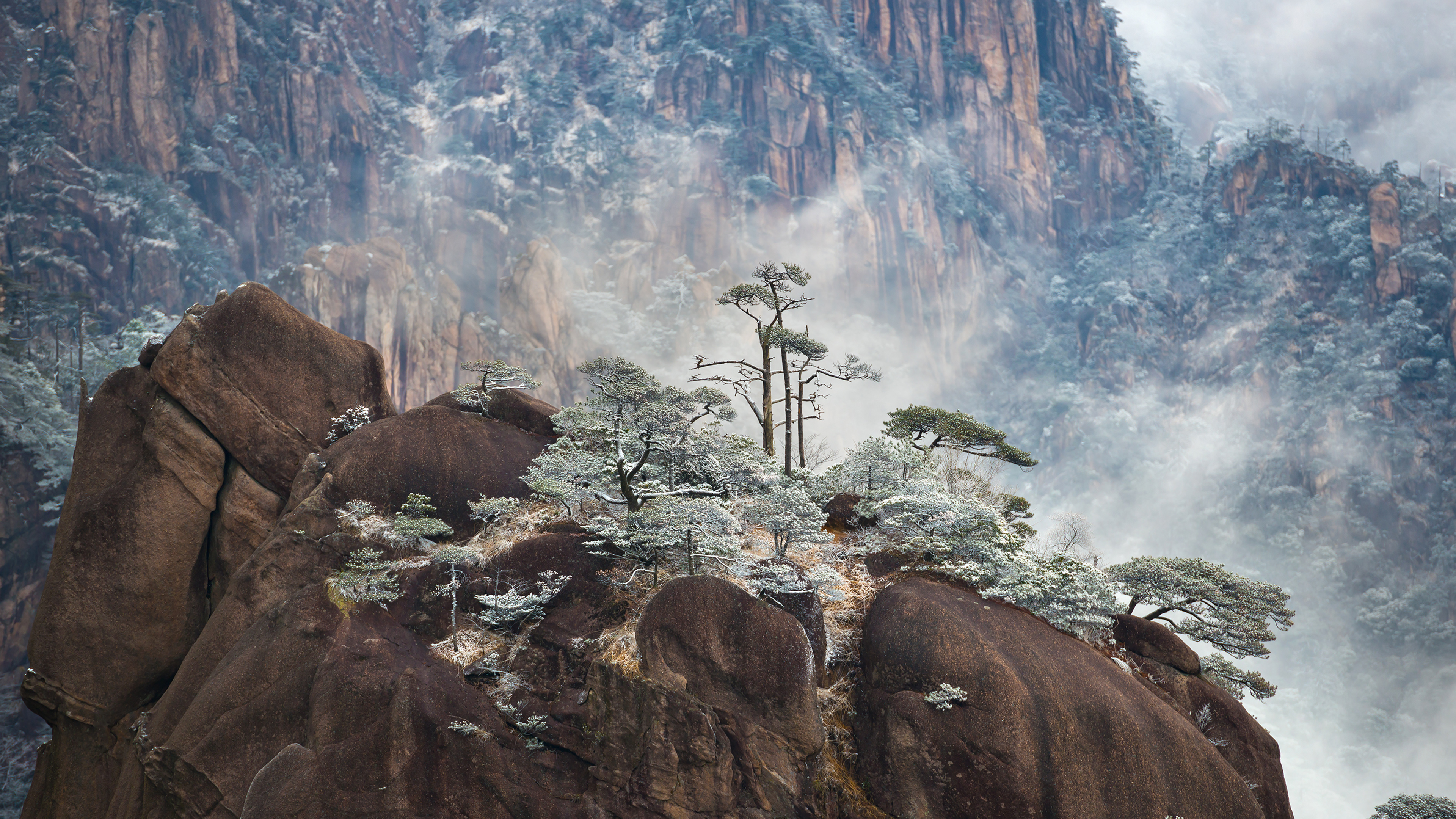 黄山的冬天，** (© Hung Chung Chih/Shutterstock)
