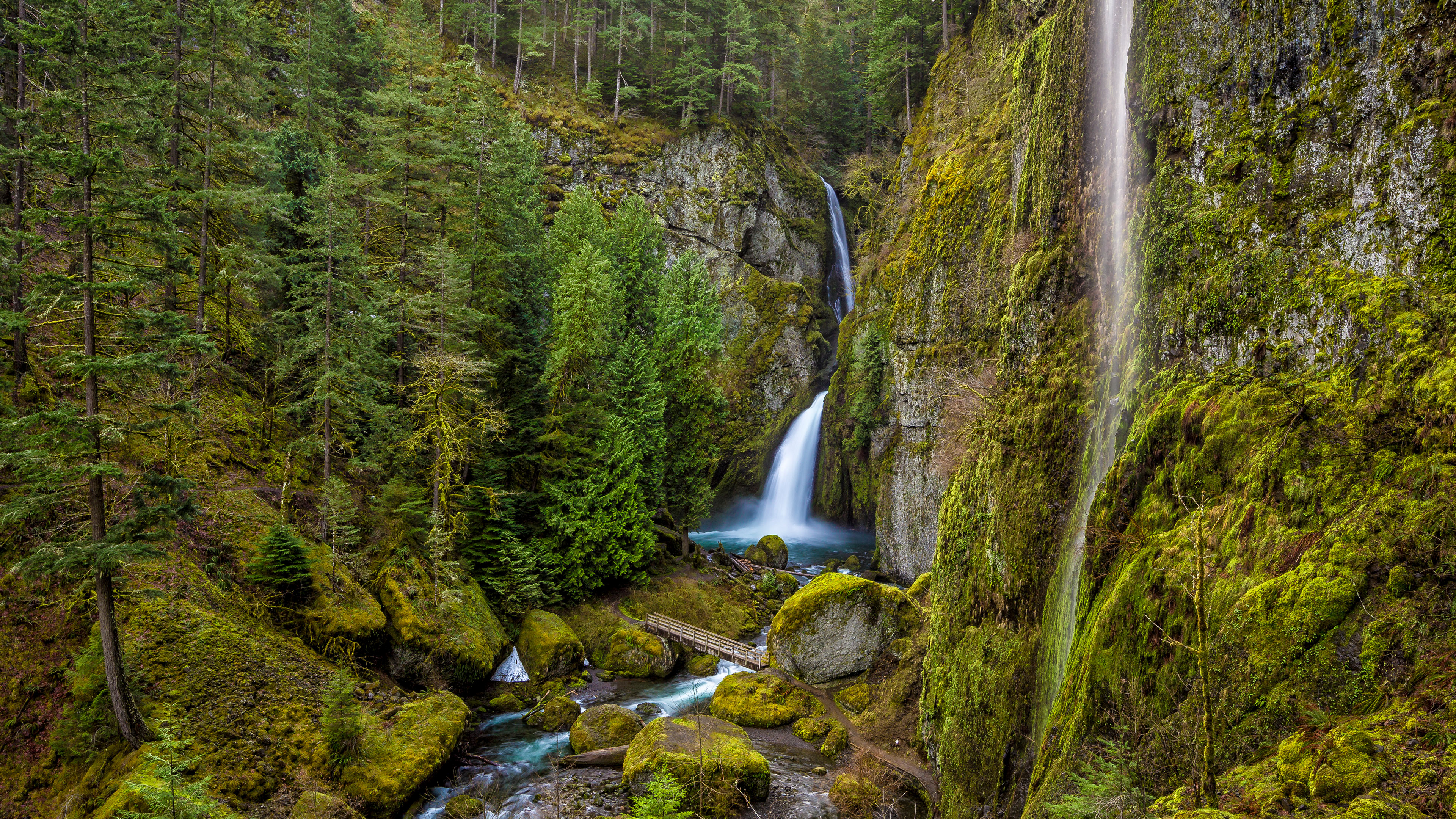 Wahclella Falls，哥伦比亚河峡谷，俄勒冈州，美国 (© Eric Vogt/Tandem Stills + Motion)