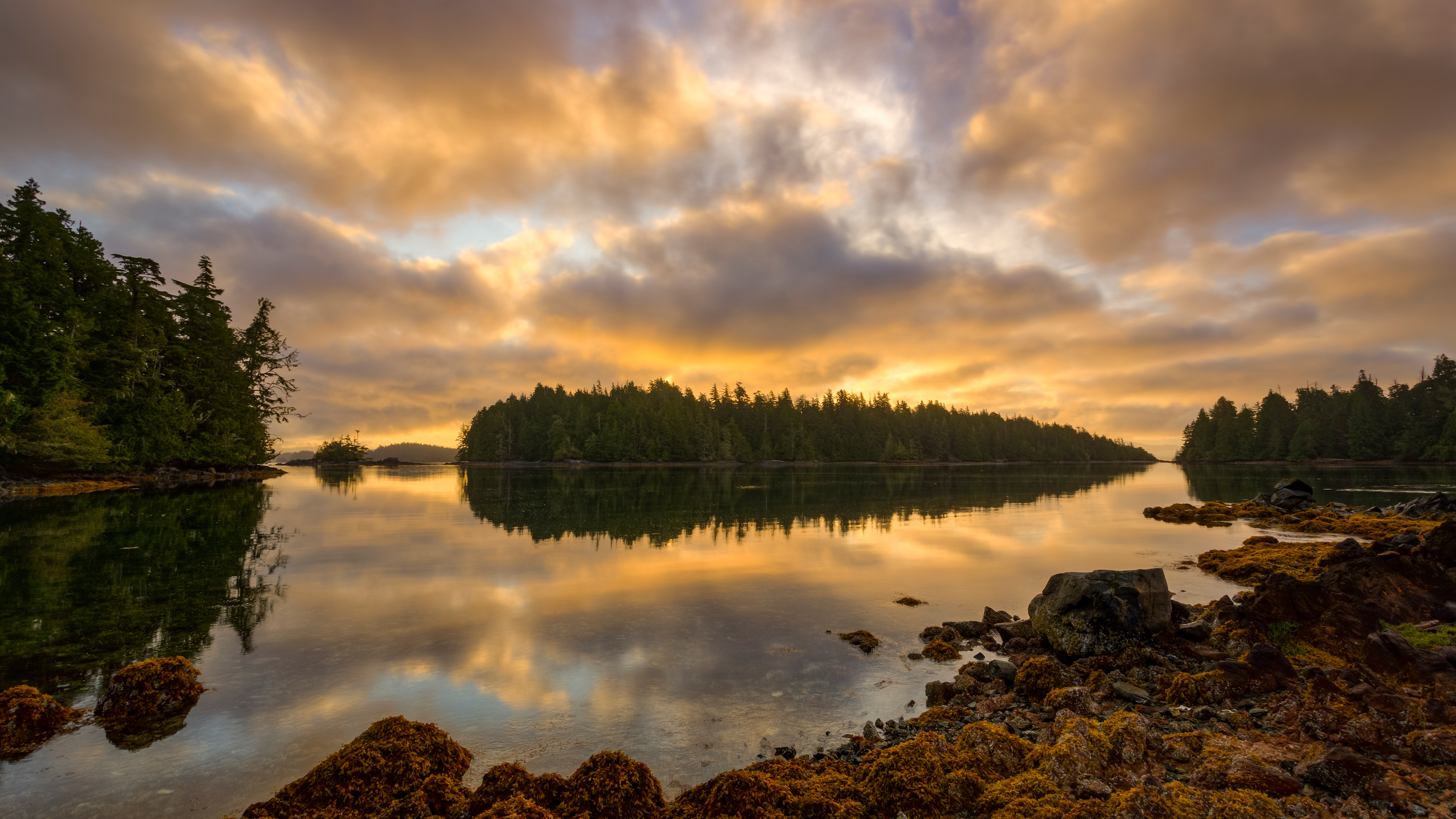 破碎群岛，环太平洋国家公园保护区，不列颠哥伦比亚省温哥华岛，加拿大 (© Ron Watts/Design Pics/Getty Images)