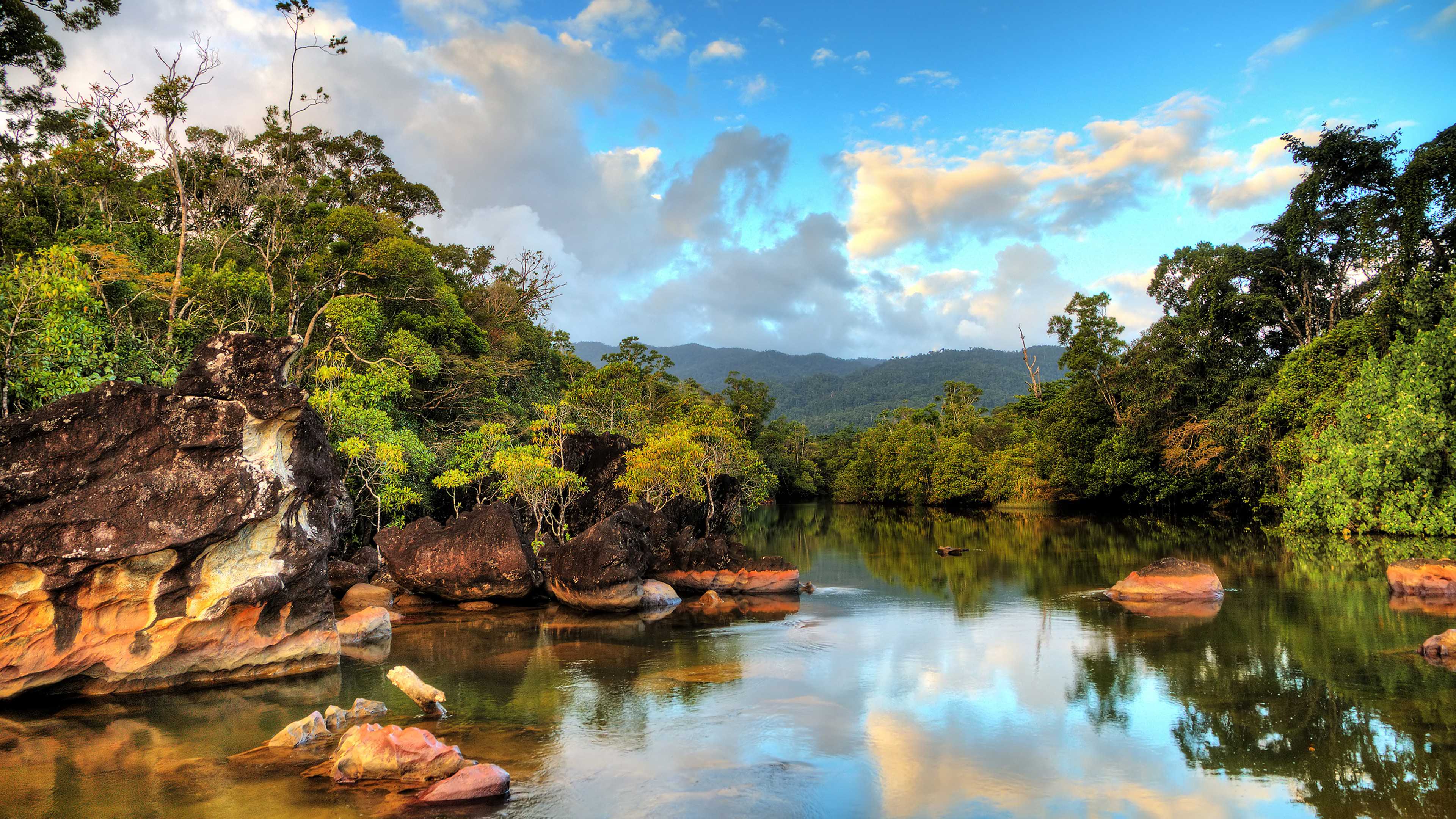 马达加斯加的马苏阿拉国家公园 (© Dennis van de Water/Shutterstock)
