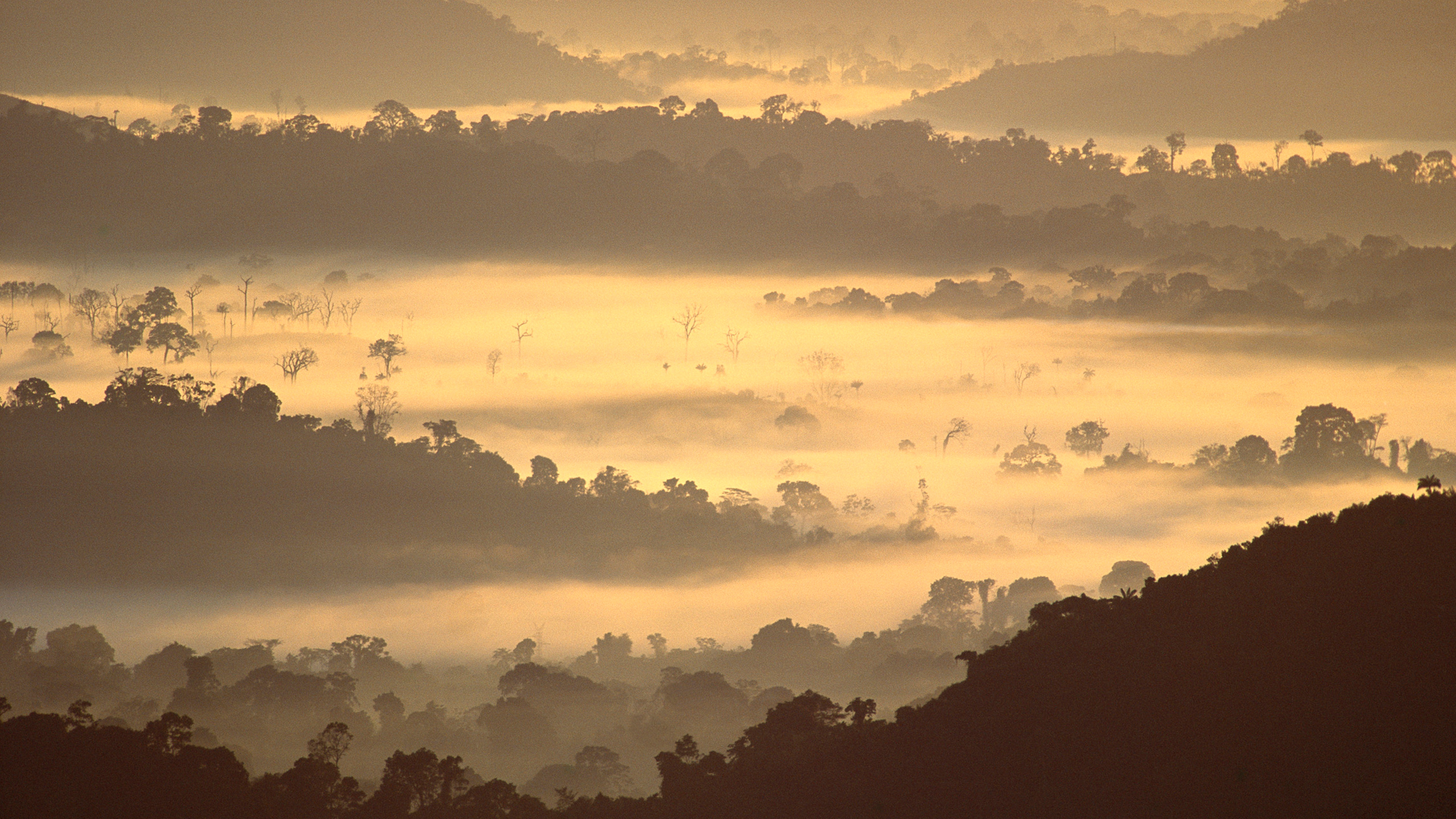亚马逊雨林，巴西 (© Claus Meyer/plainpicture)