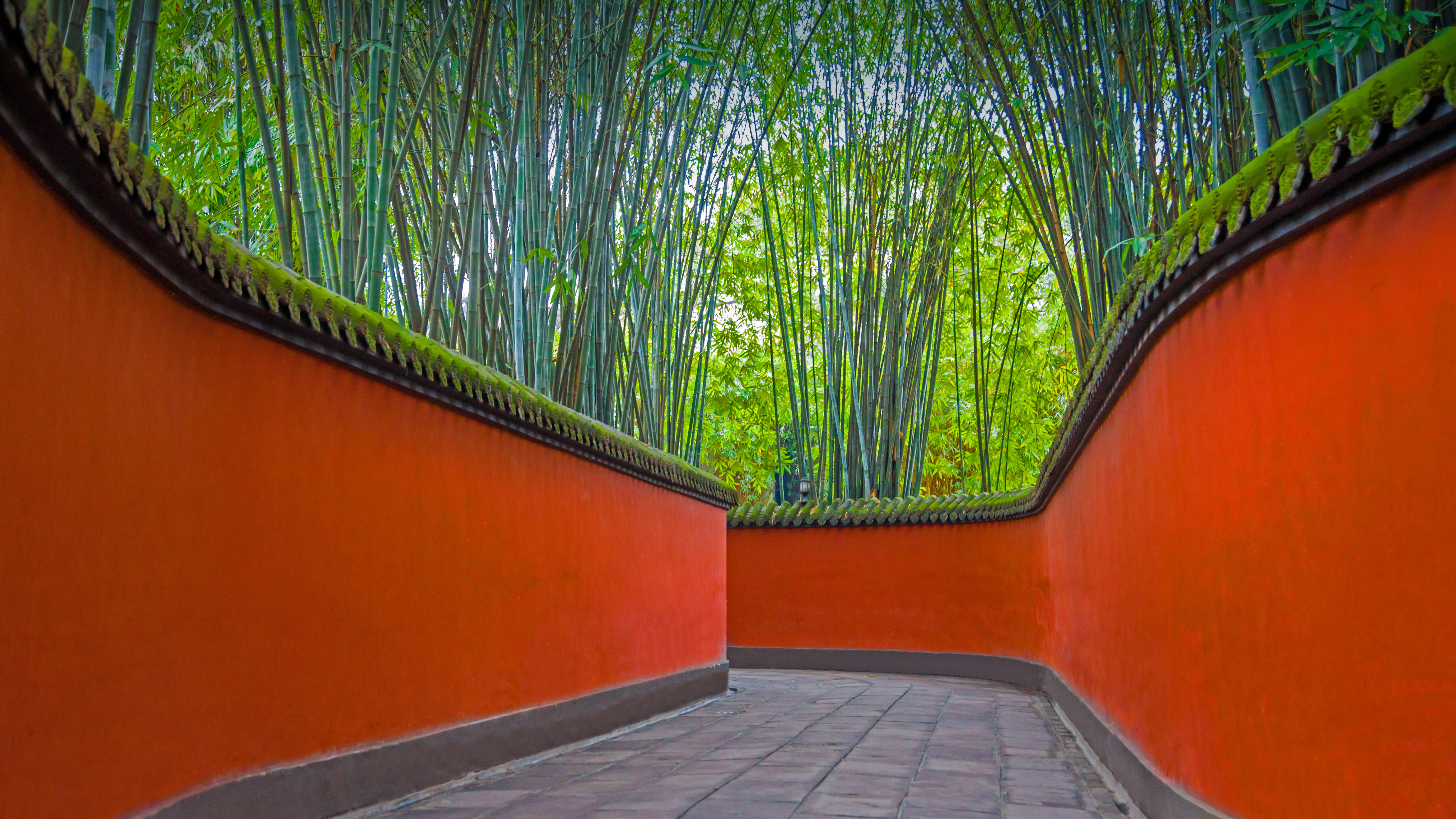 武侯祠内红墙和竹林掩映下的小巷，**成都 (© Eastimages/Getty Images)
