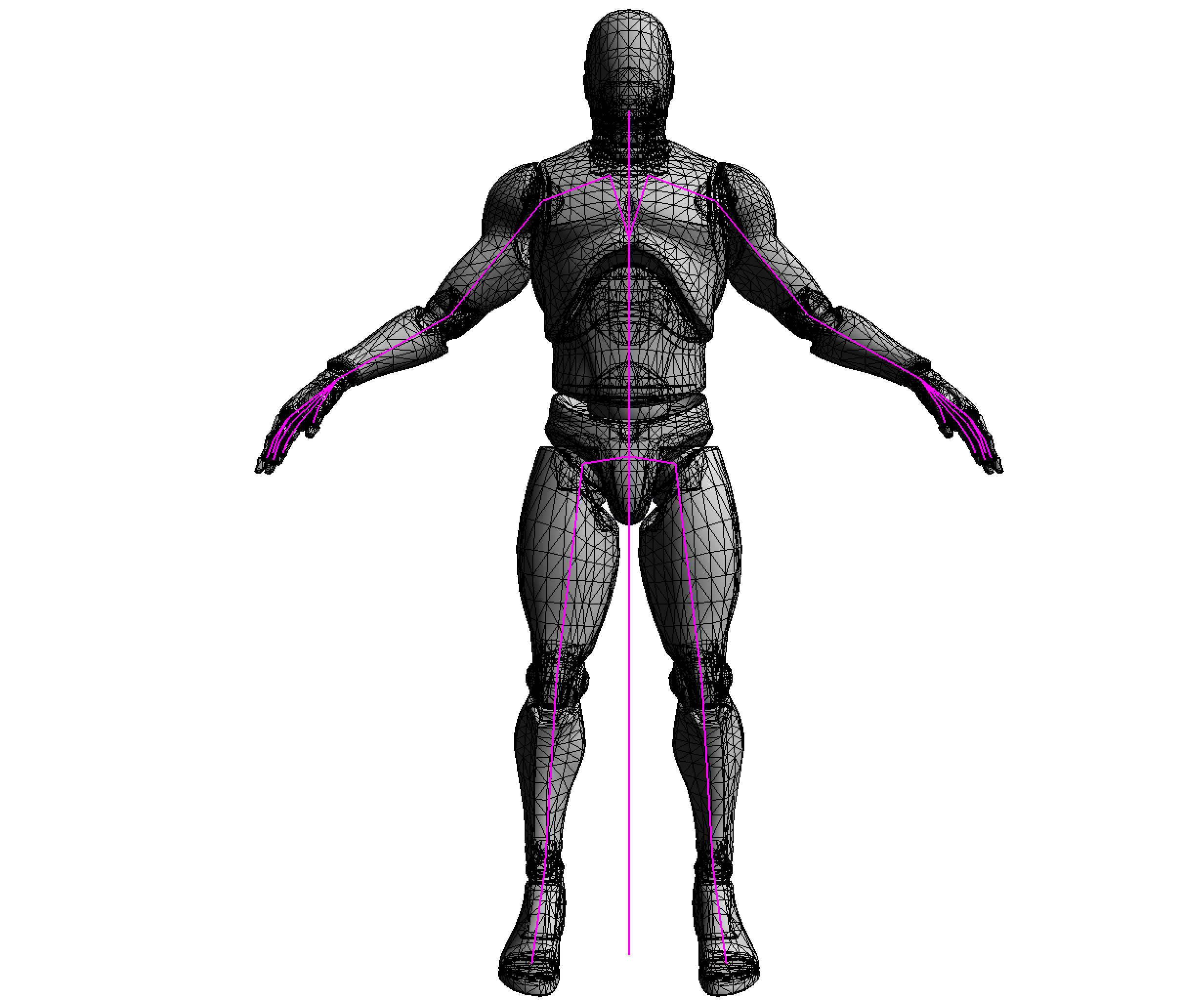 Skeleton In Mesh