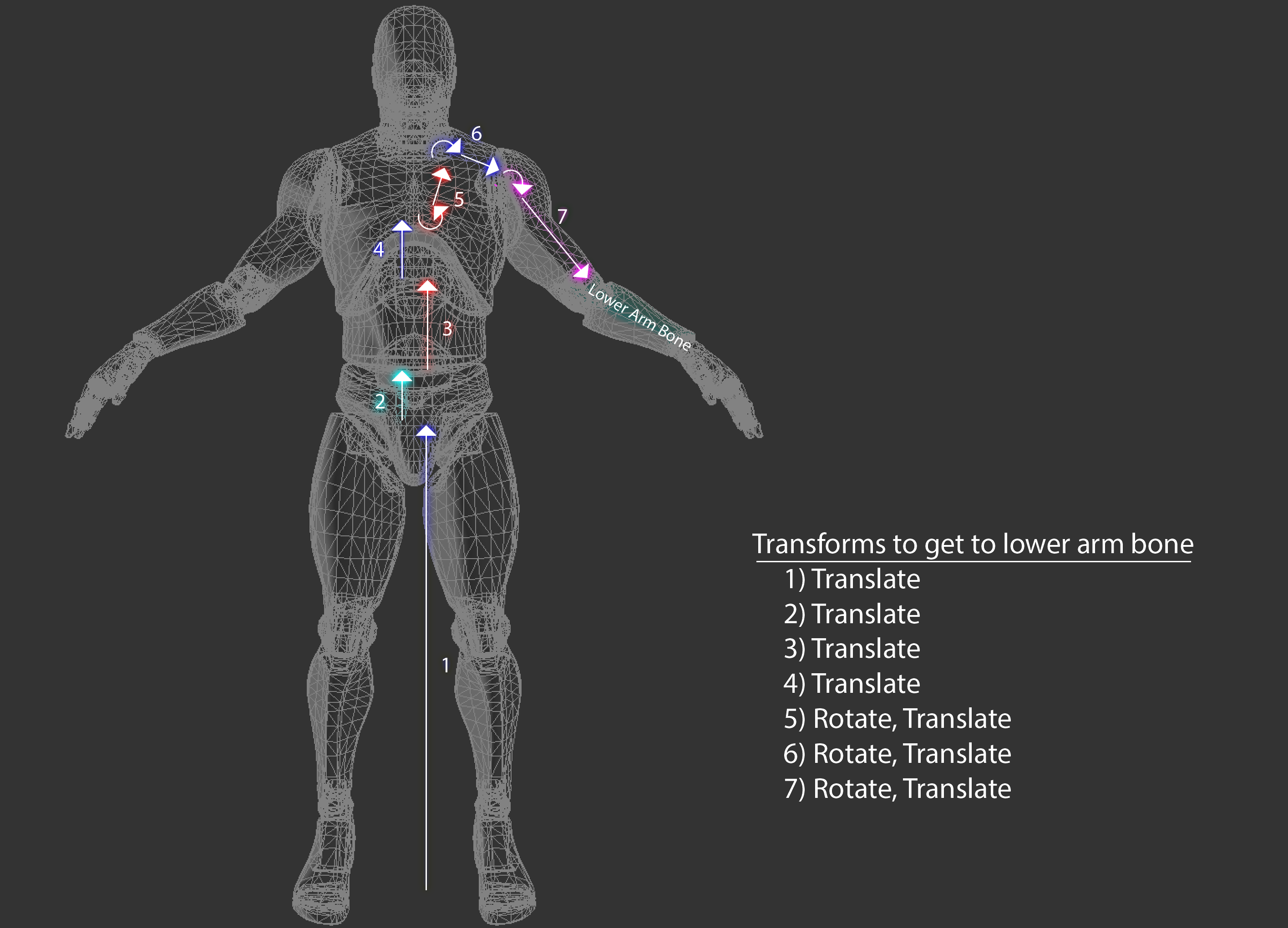 Skinned fore-arm