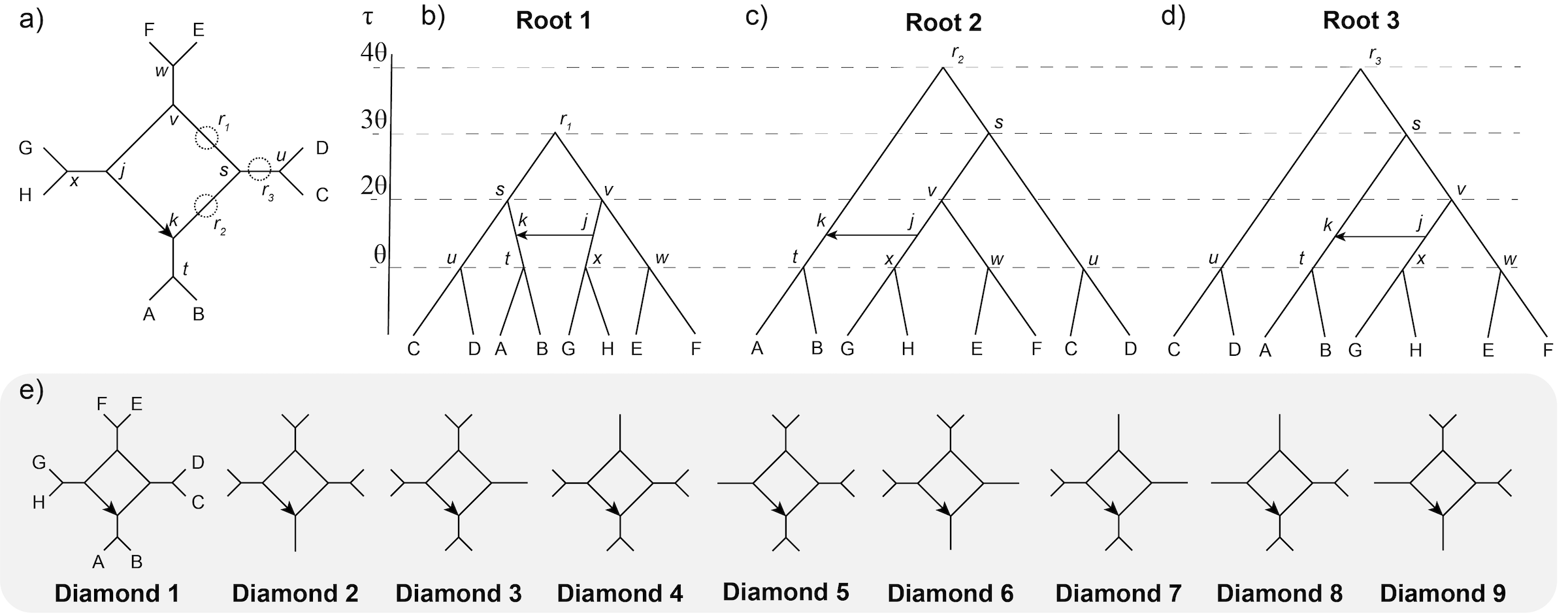 Networks Used for Simulations - Fig. 1 from Tiley and Solís-Lemus 2023