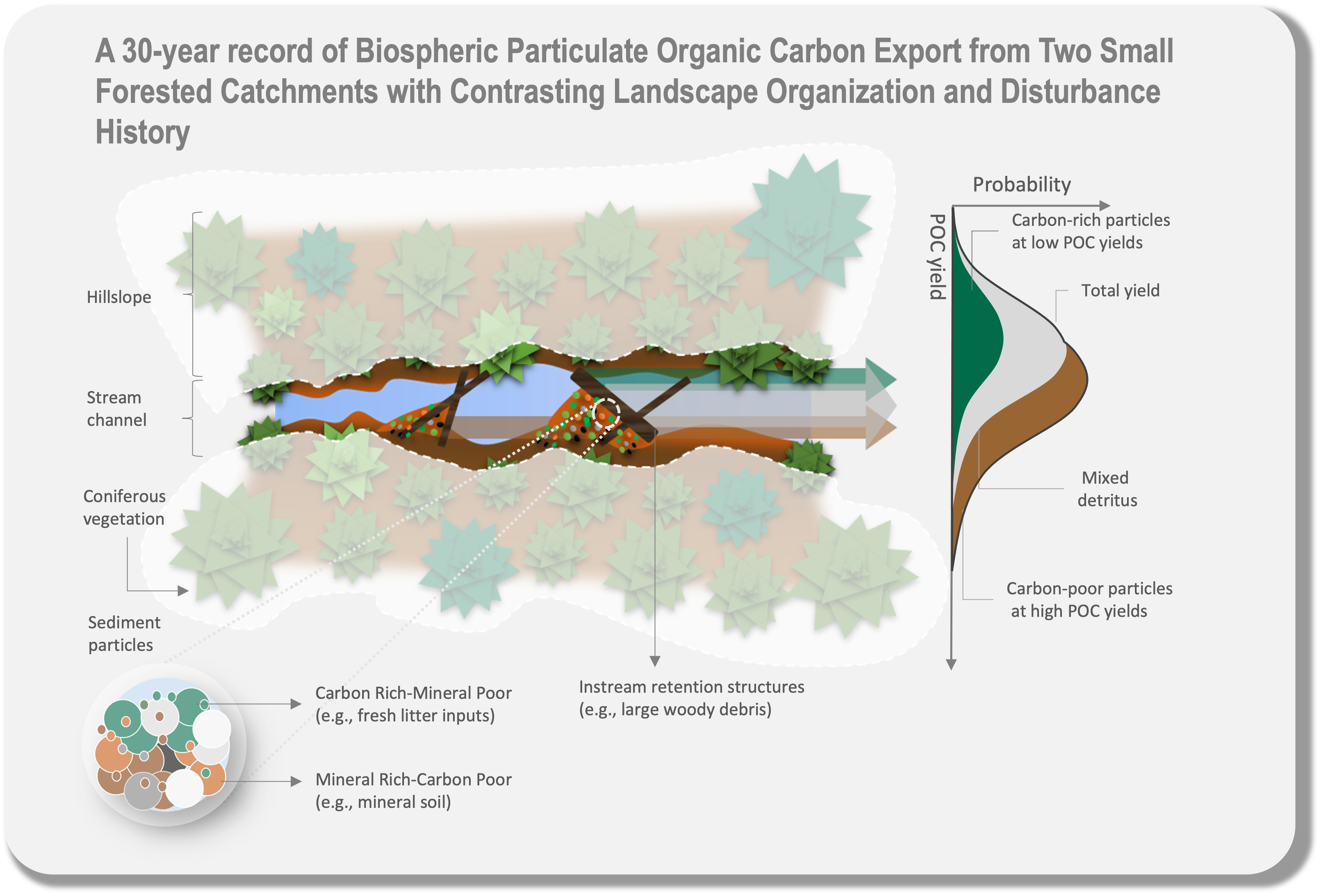 POC export from headwaters conceptual model