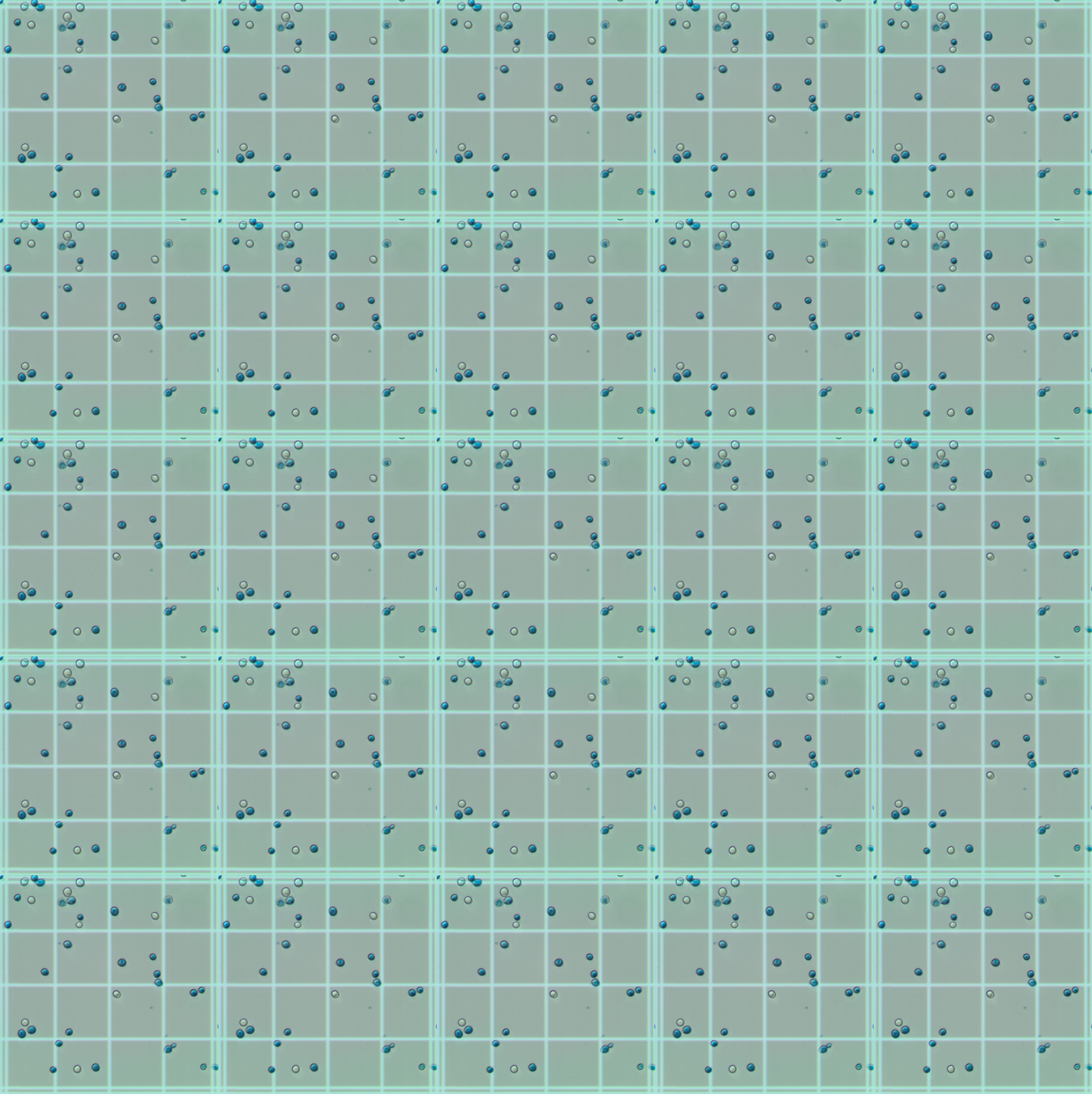 Reconstructed grid image