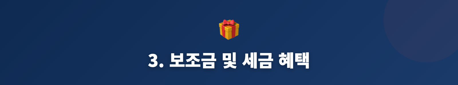 3. 보조금 및 세금 혜택