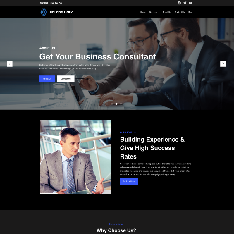 Biz Land Dark theme screenshot