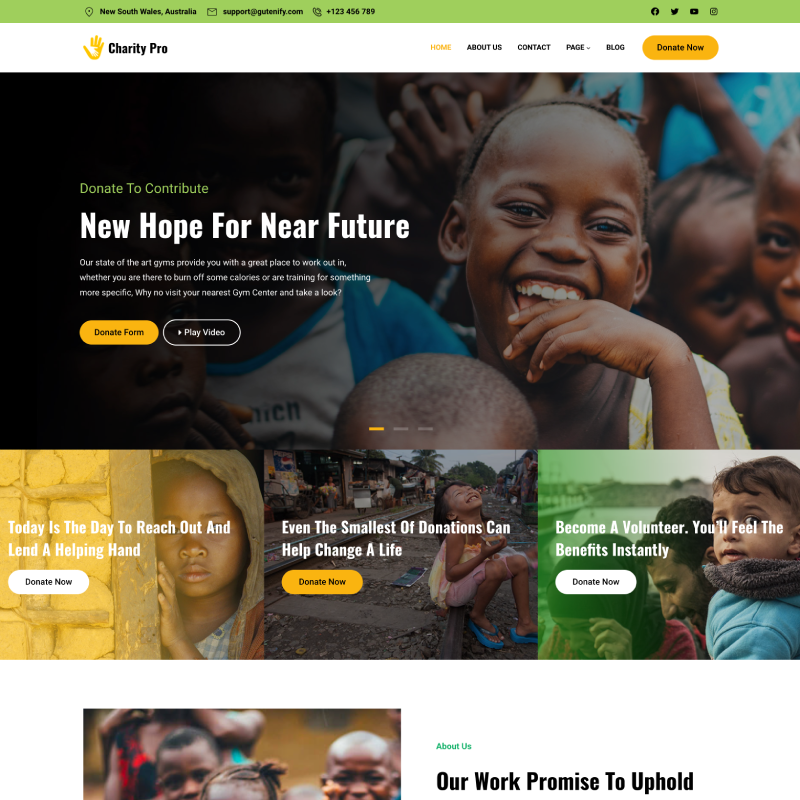 Gutenify Charity Pro theme screenshot