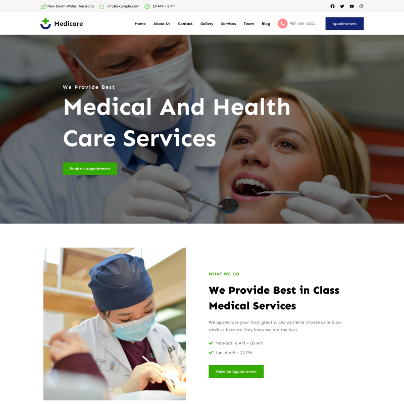 Gutenify Medicare theme screenshot