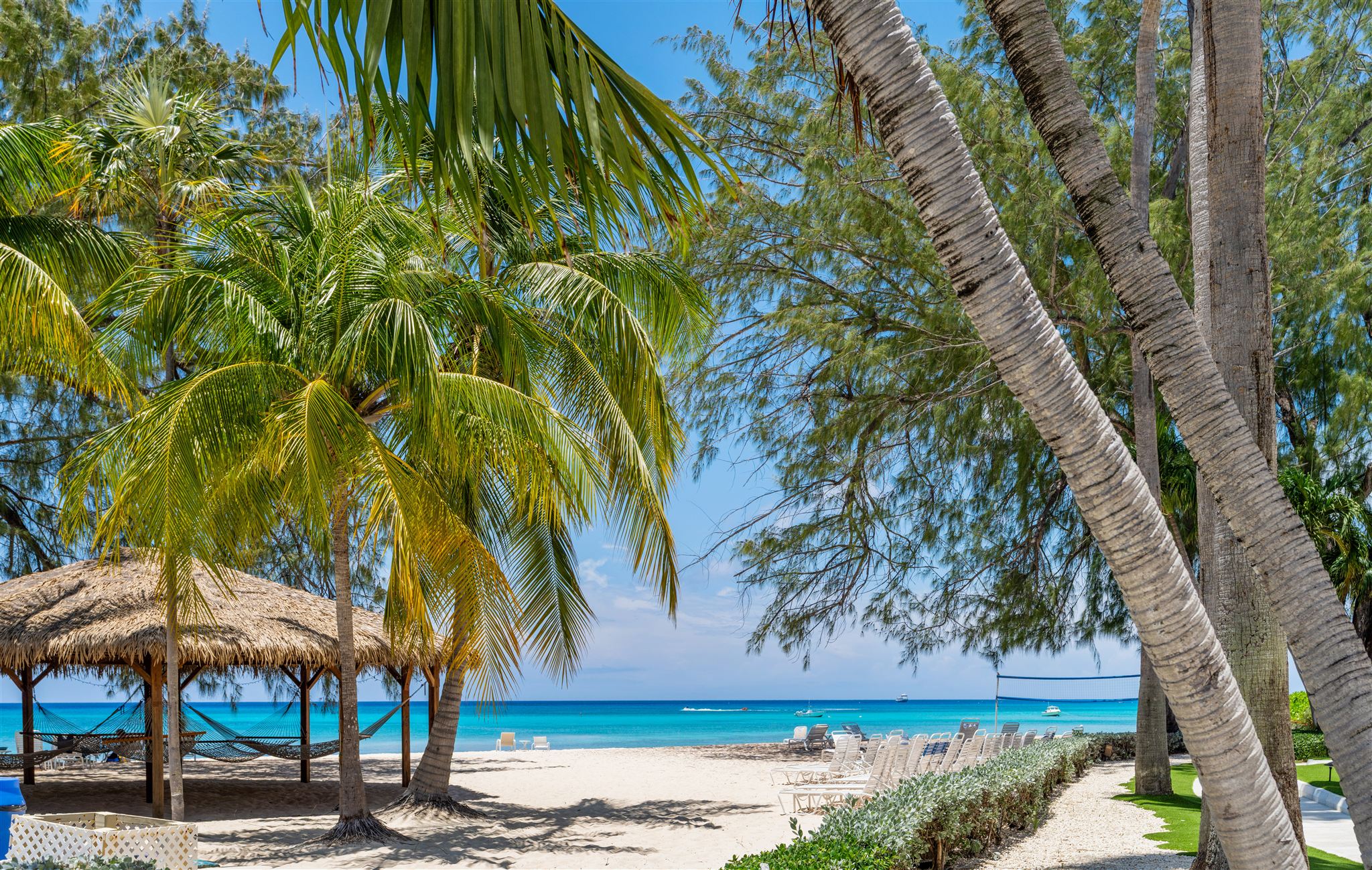 Palm trees and beach at London House