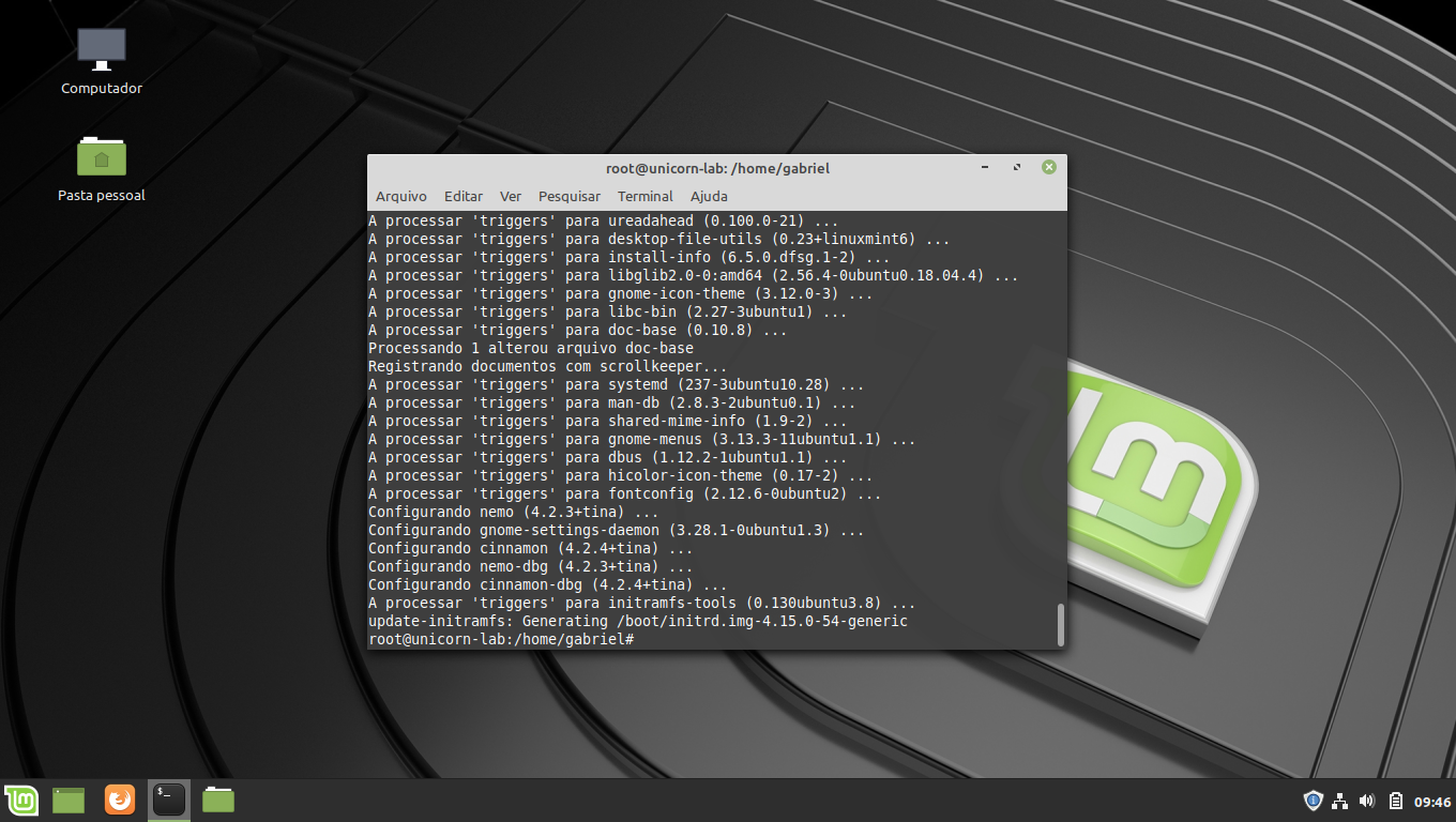 GitHub - gvieira29/install-mint: Instalação do Linux Mint