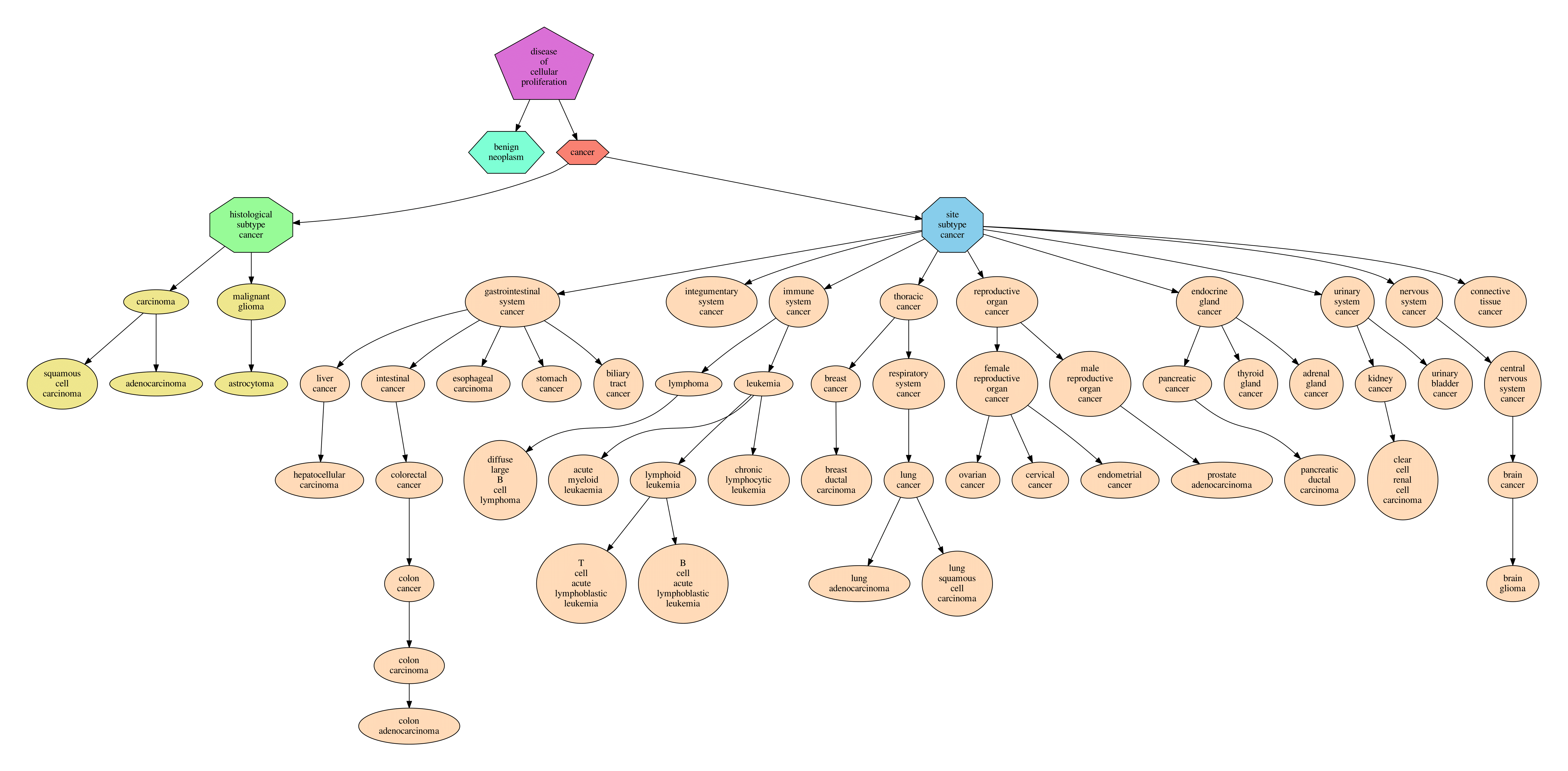 Hierarchy of cancer subtypes