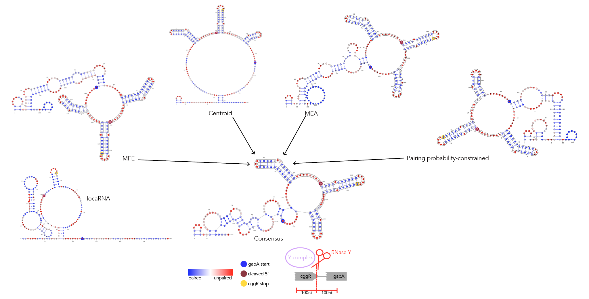 Figure 9