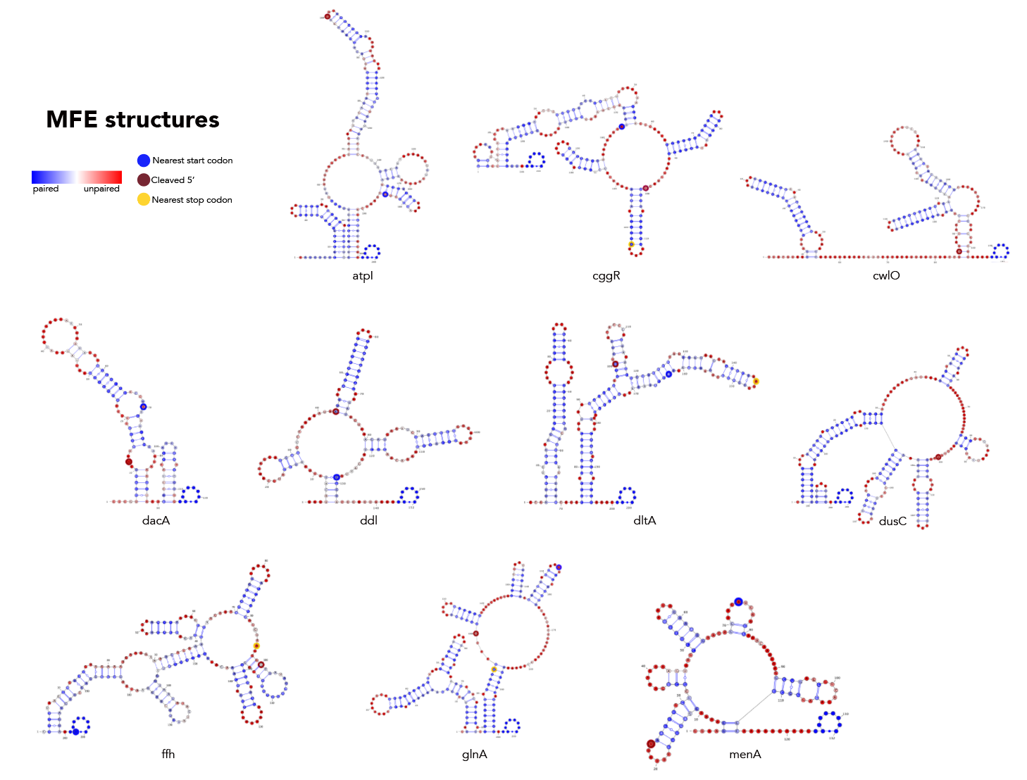 Figure s1a