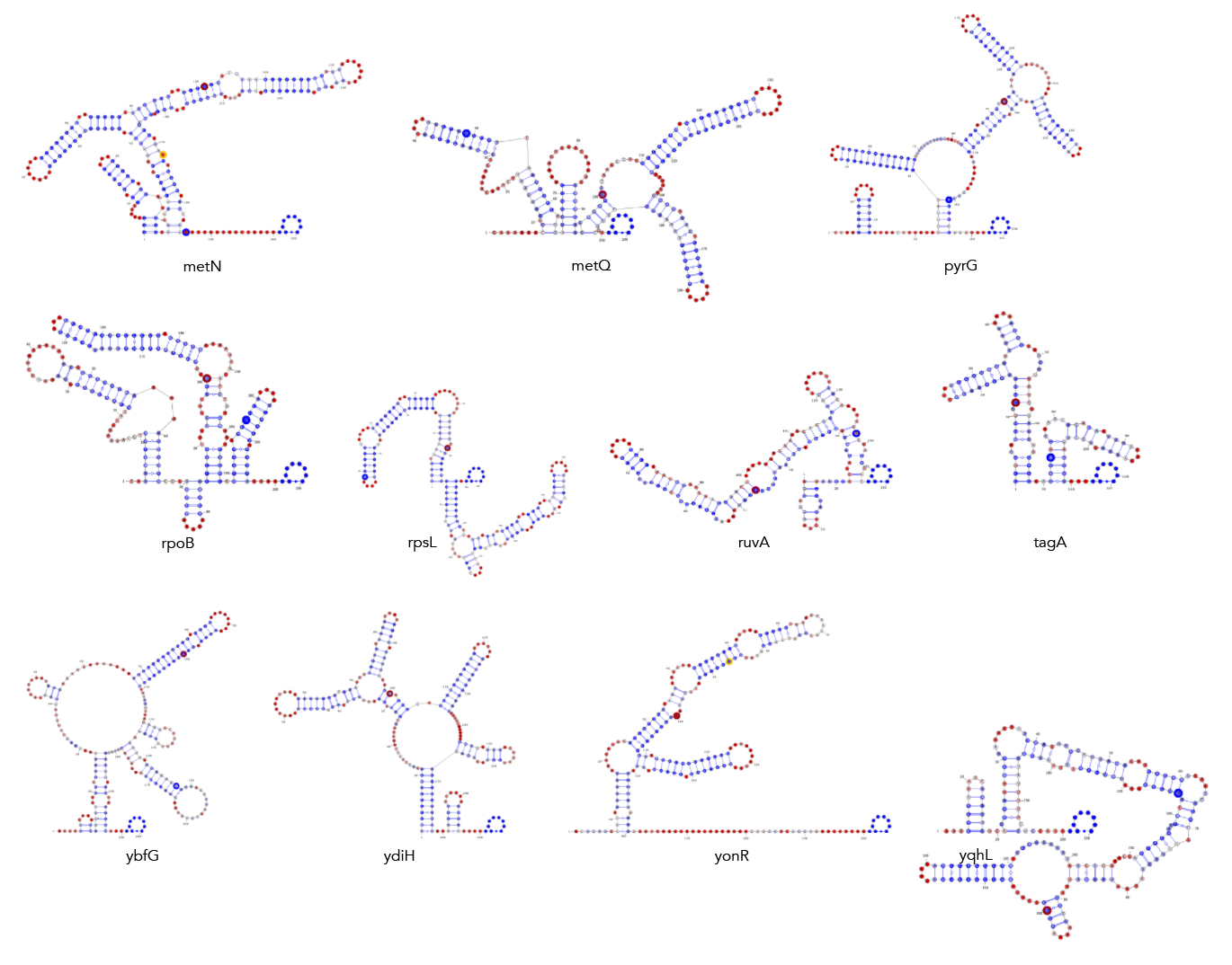 Figure s1b