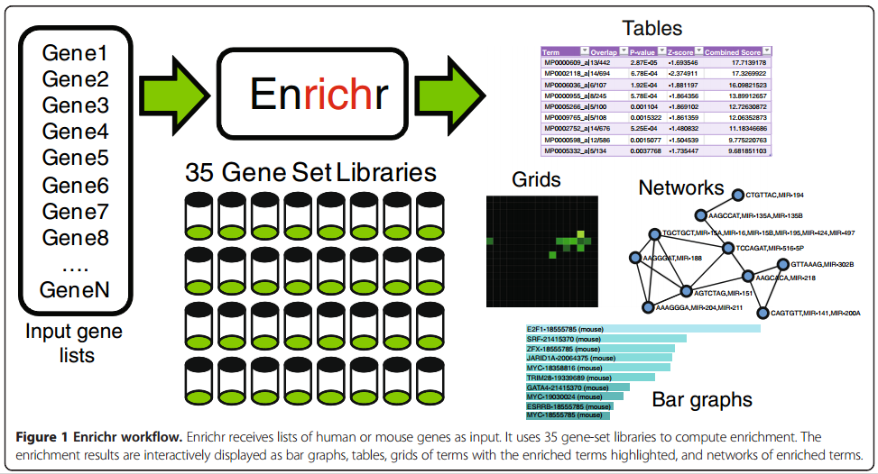 docs/enrichr.PNG