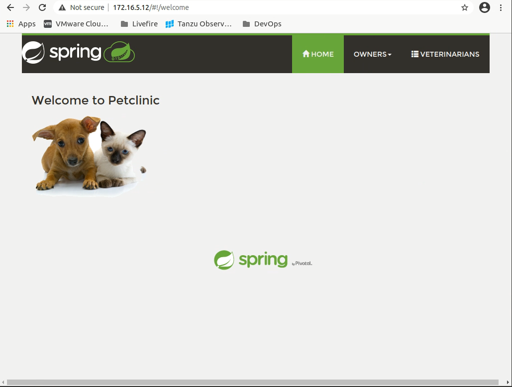 Petclinic App Main Page