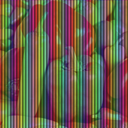 Lenticular