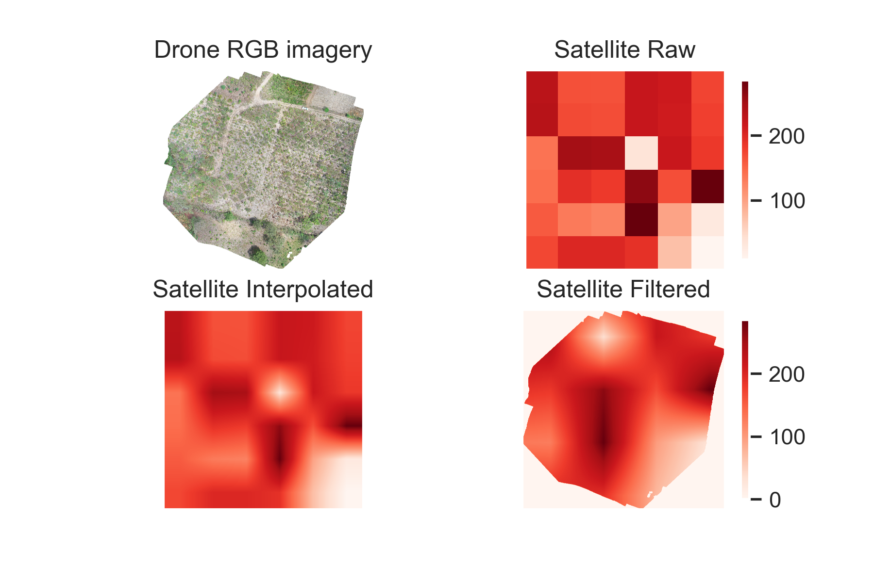 Comparison of Satellite, Drone, and Field Data