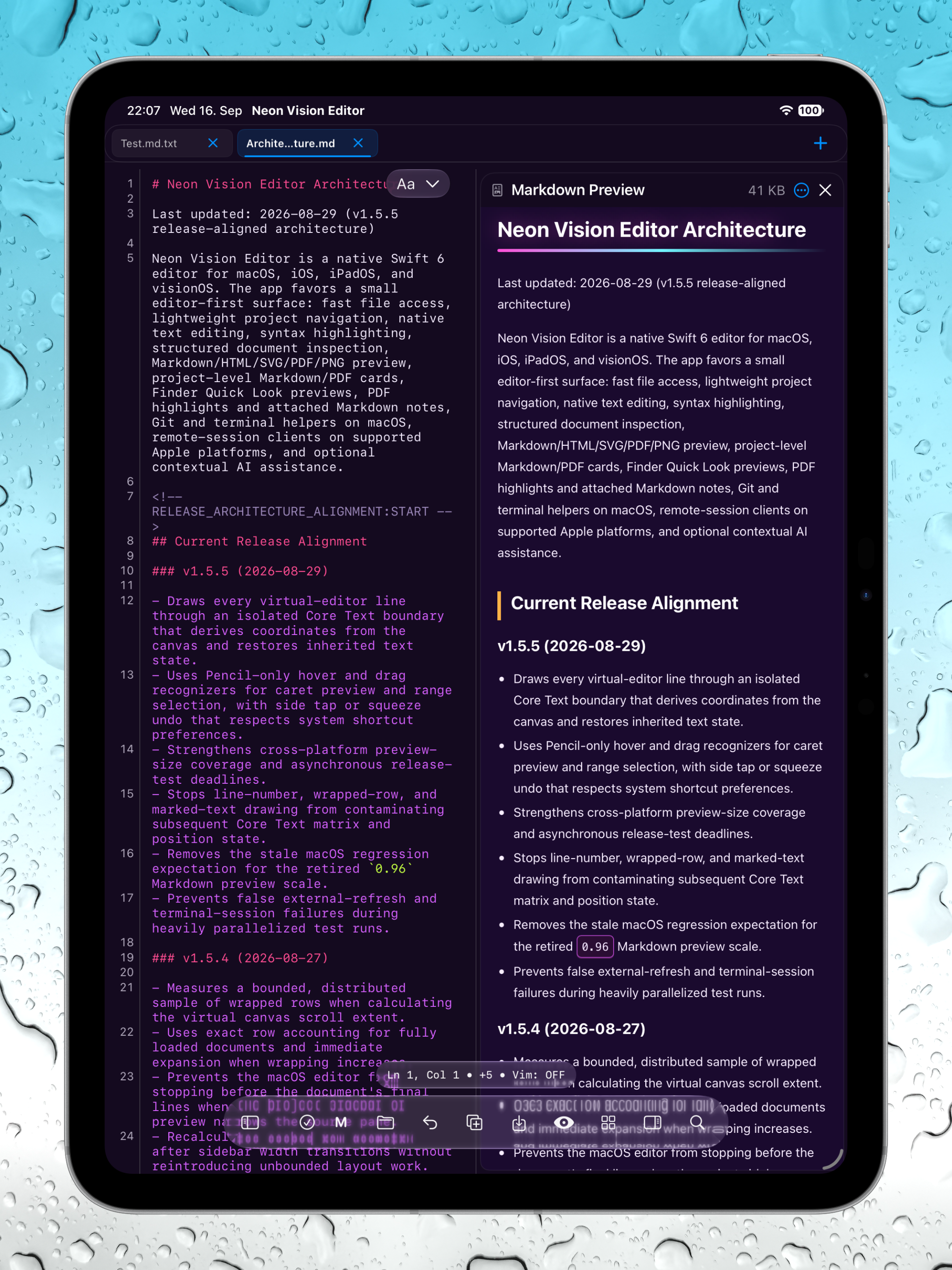 iPad Markdown source and rendered preview side by side in dark mode