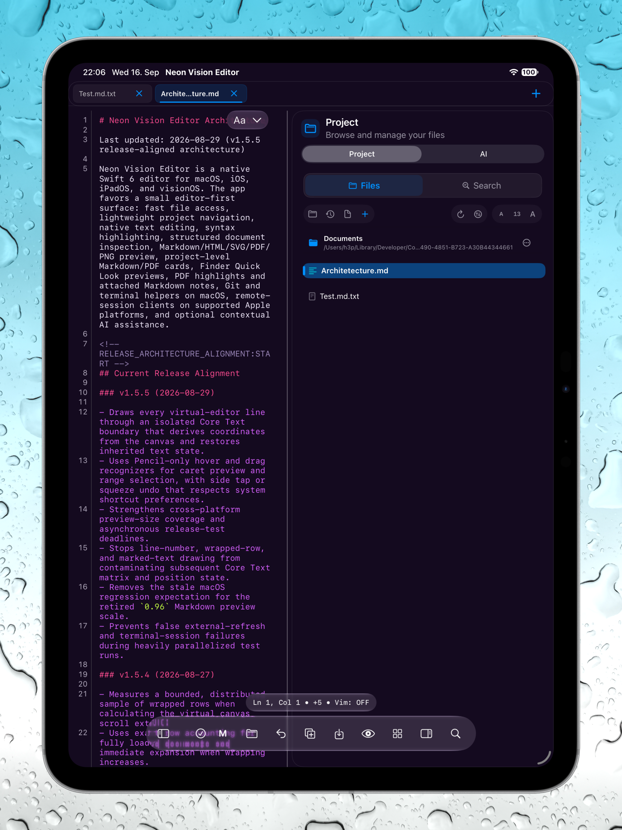 iPad editor beside the project file browser in dark mode