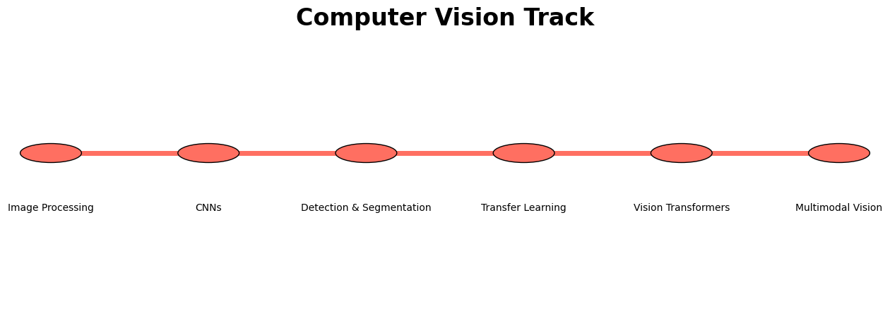 Computer Vision Track