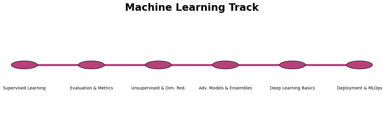 Machine Learning Track