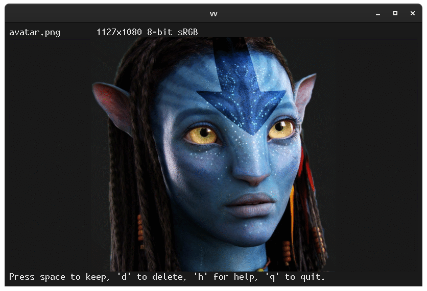 Example of vv showing an avatar with a transparent background