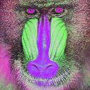 hue shifted baboom image