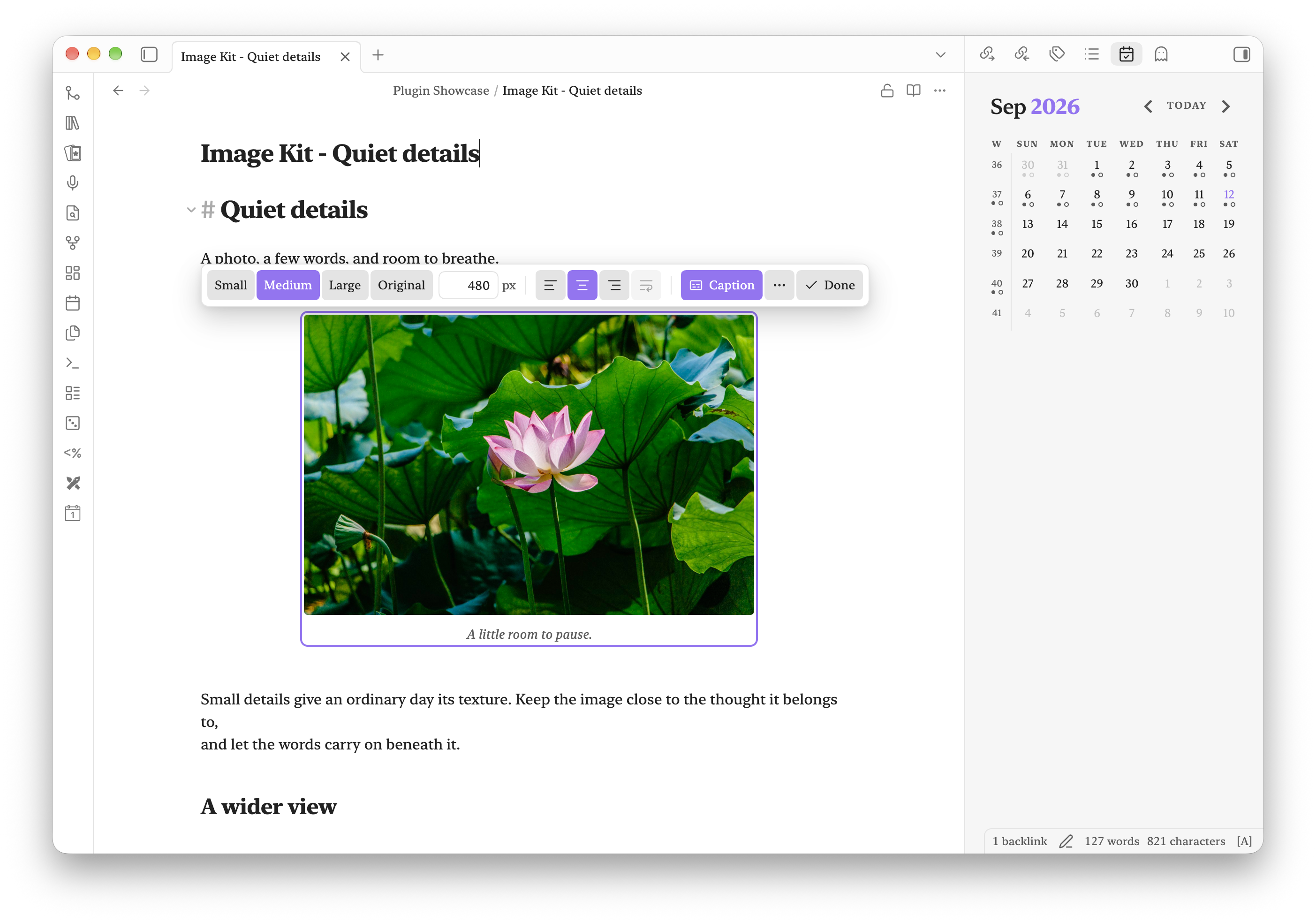 Image Kit desktop toolbar with size presets, alignment, and caption controls above a centered image