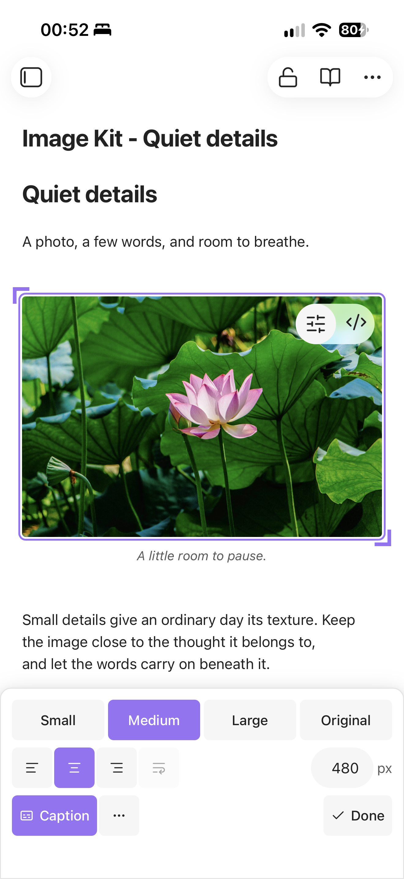 Image Kit on iPhone with diagonal resize grips and a bottom panel for size, alignment, and captions