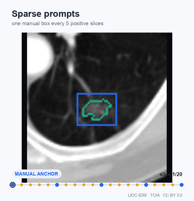 Sparse box interpolation through a CT volume