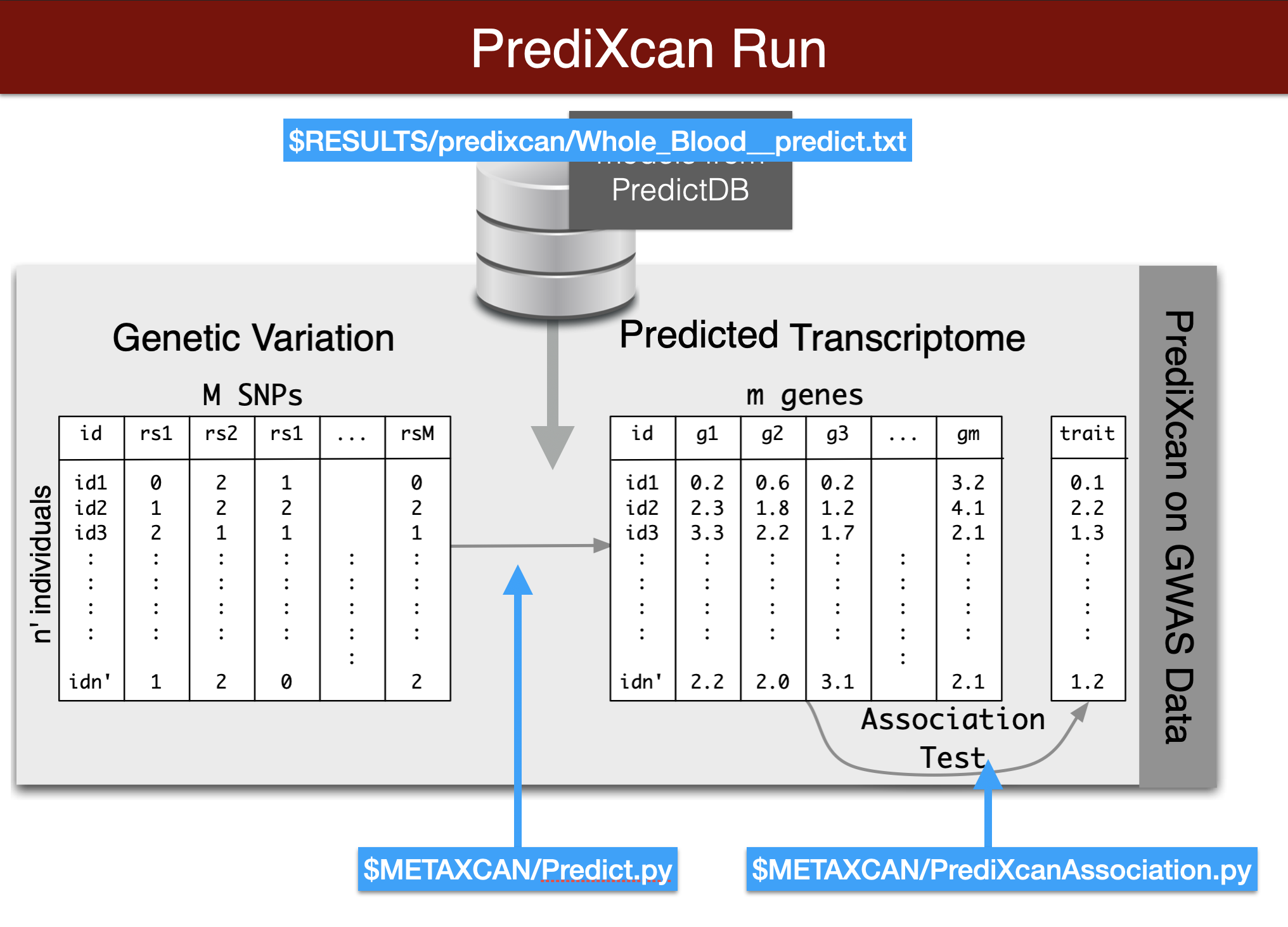 Visual summary of predixcan runs