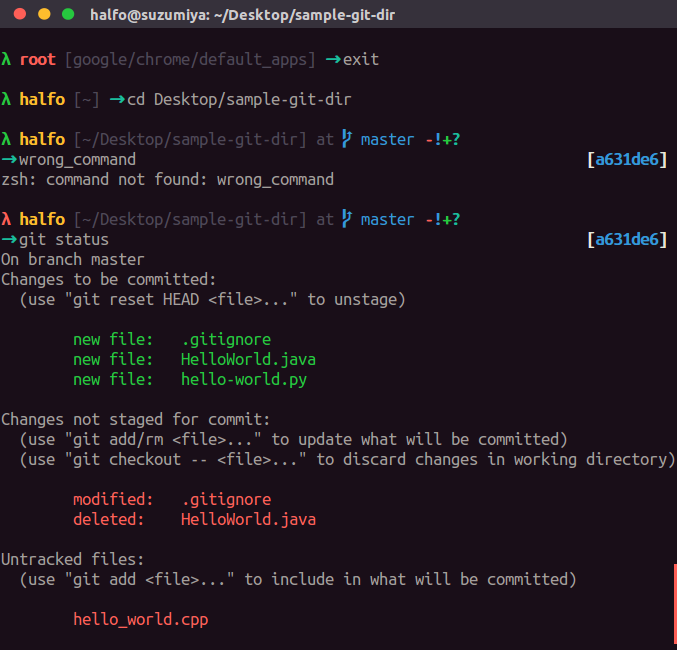 Shell terminal. Zsh Linux. Zsh Shell. Zsh Themes. Zsh Shell терминал.