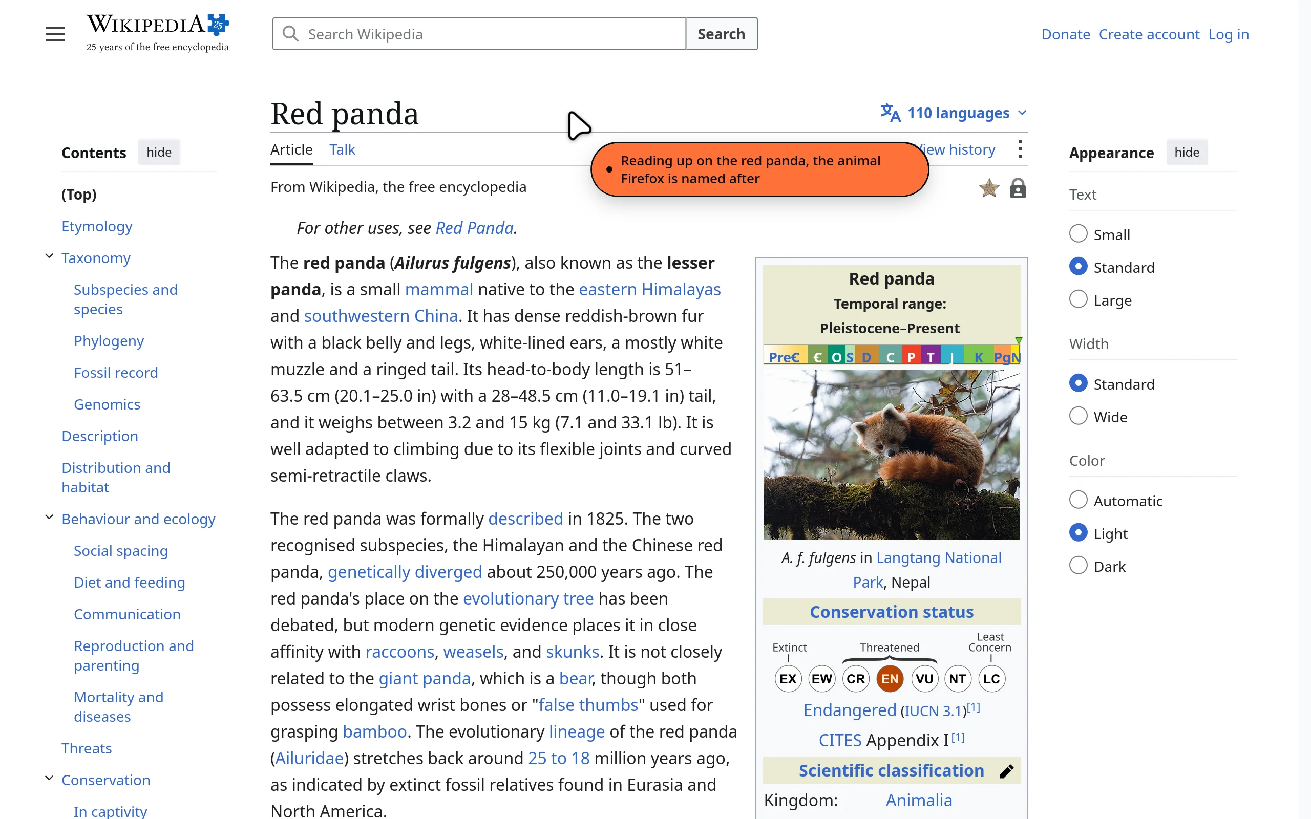 A Wikipedia article on the red panda. The AI cursor rests on the title with an orange bubble that reads: Reading up on the red panda, the animal Firefox is named after.