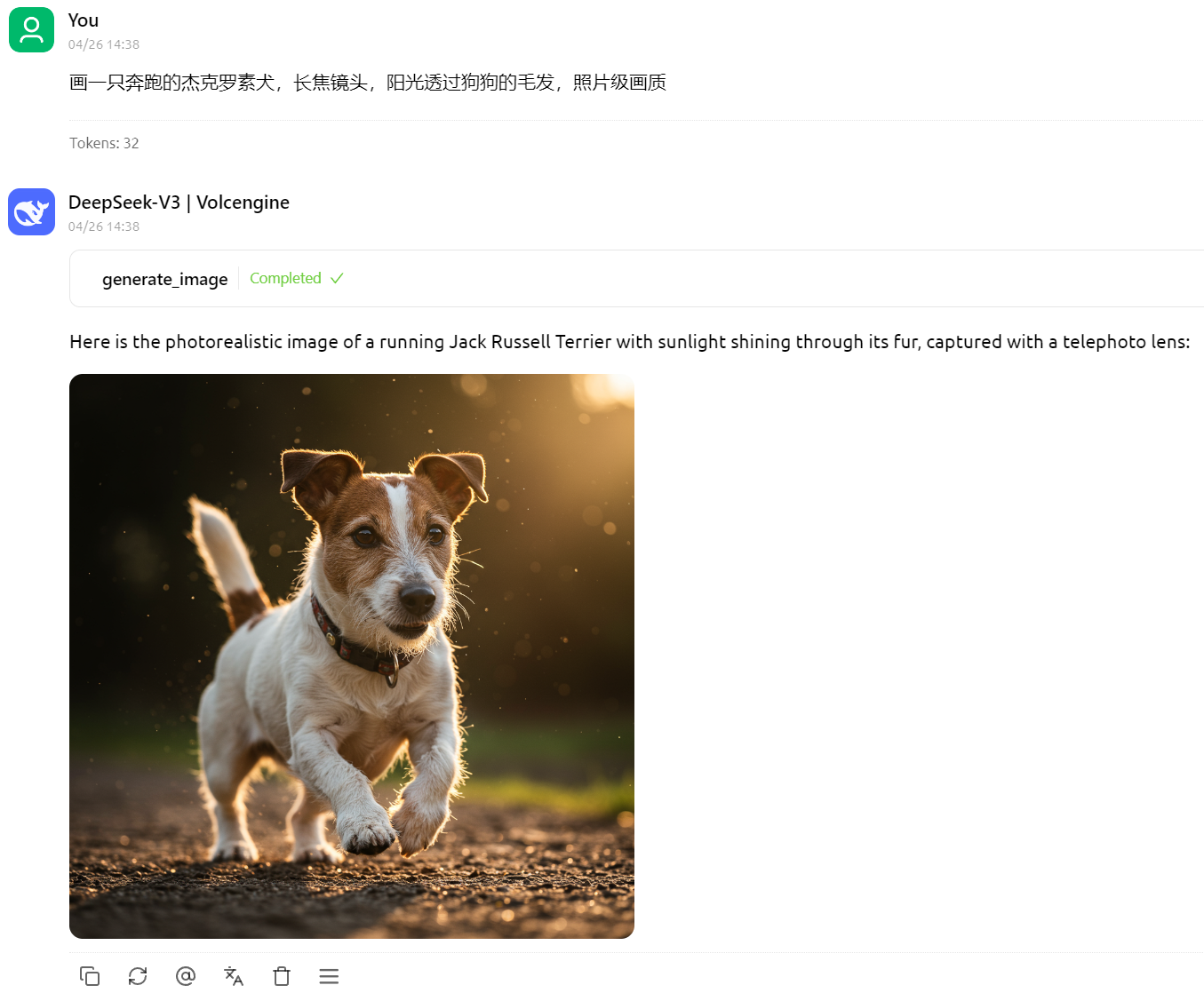 奔跑的杰克罗素犬