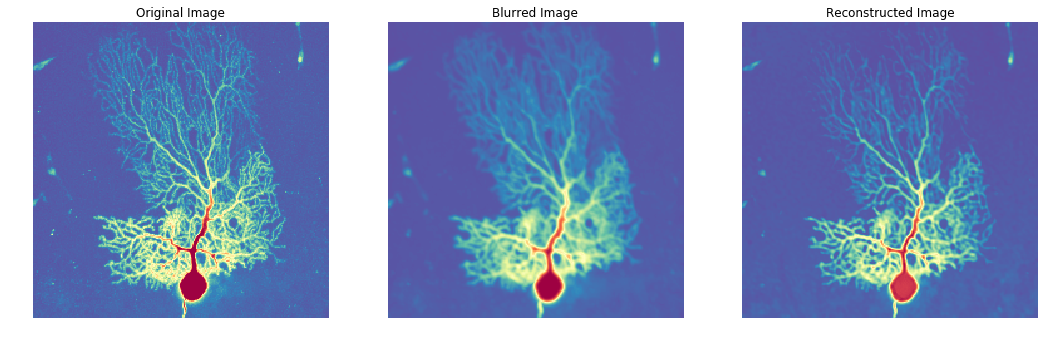 Neuron Example